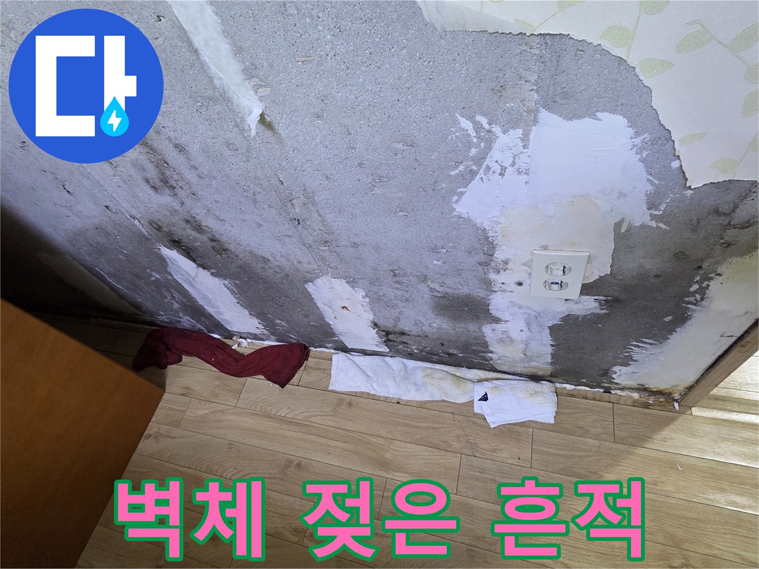 습기 침투로 인해 검게 변한 콘크리트 벽면 상태 - 누수 현장