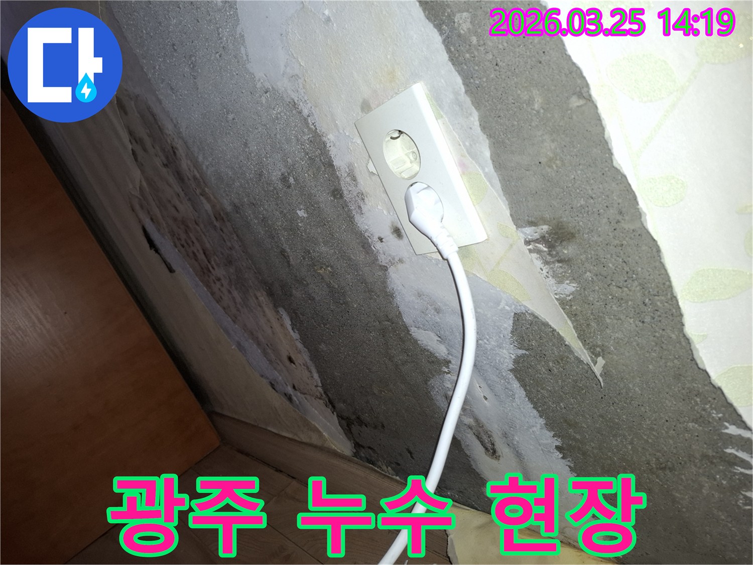 오래된-벽지에-습기가-차서-벗겨지고-벽면-전체에-곰팡이가-퍼진-누수-문제-현장