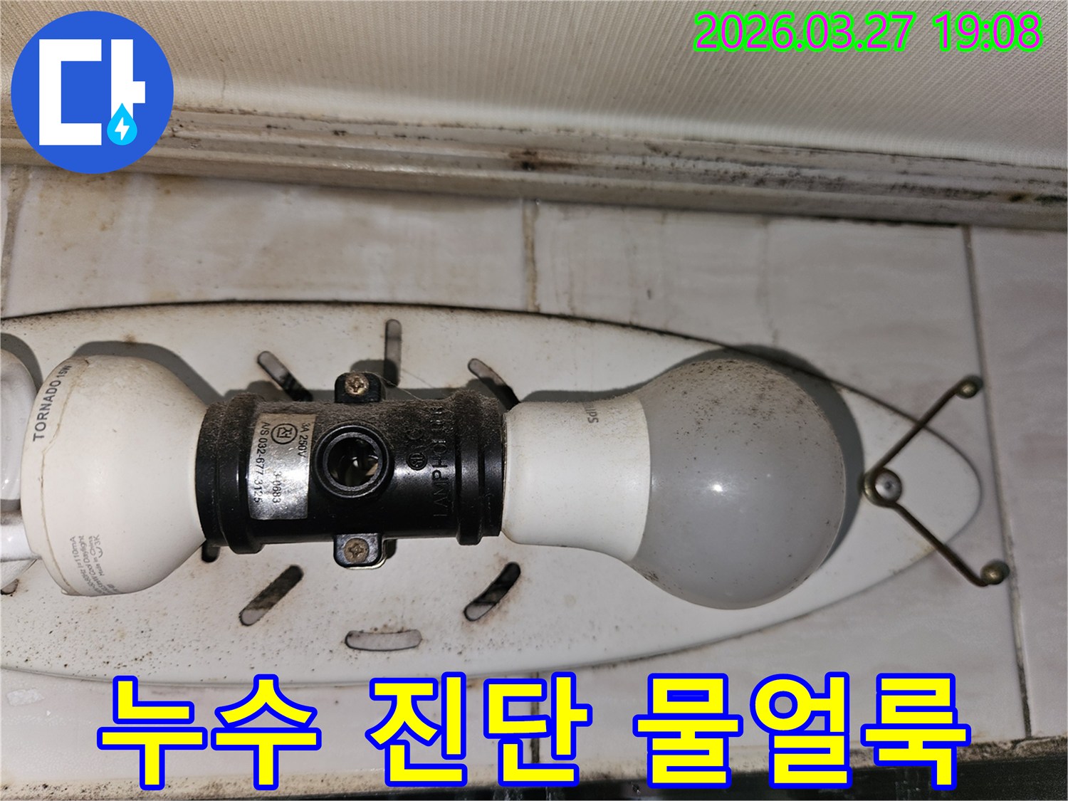 천장-조명-주변에-생긴-물얼룩과-곰팡이로-인해-누수-진단-전문가가-필요한-현장-사진입니다