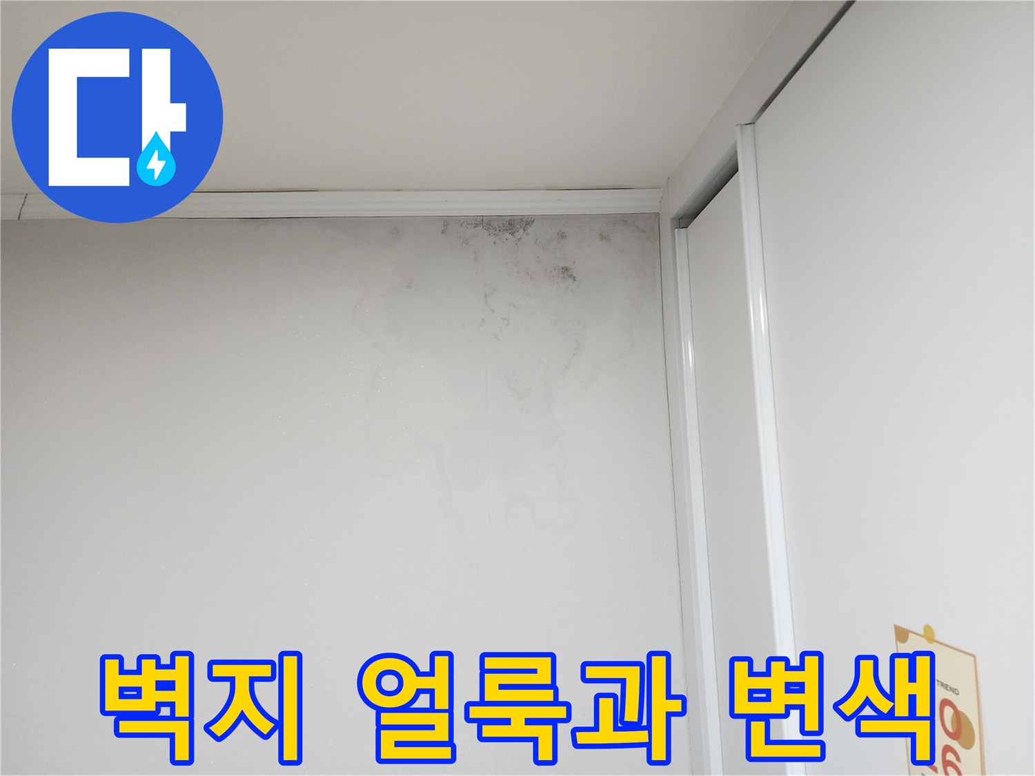 도봉구 아파트 천장 벽지 부분의 어두운 물자국과 곰팡이 흔적
