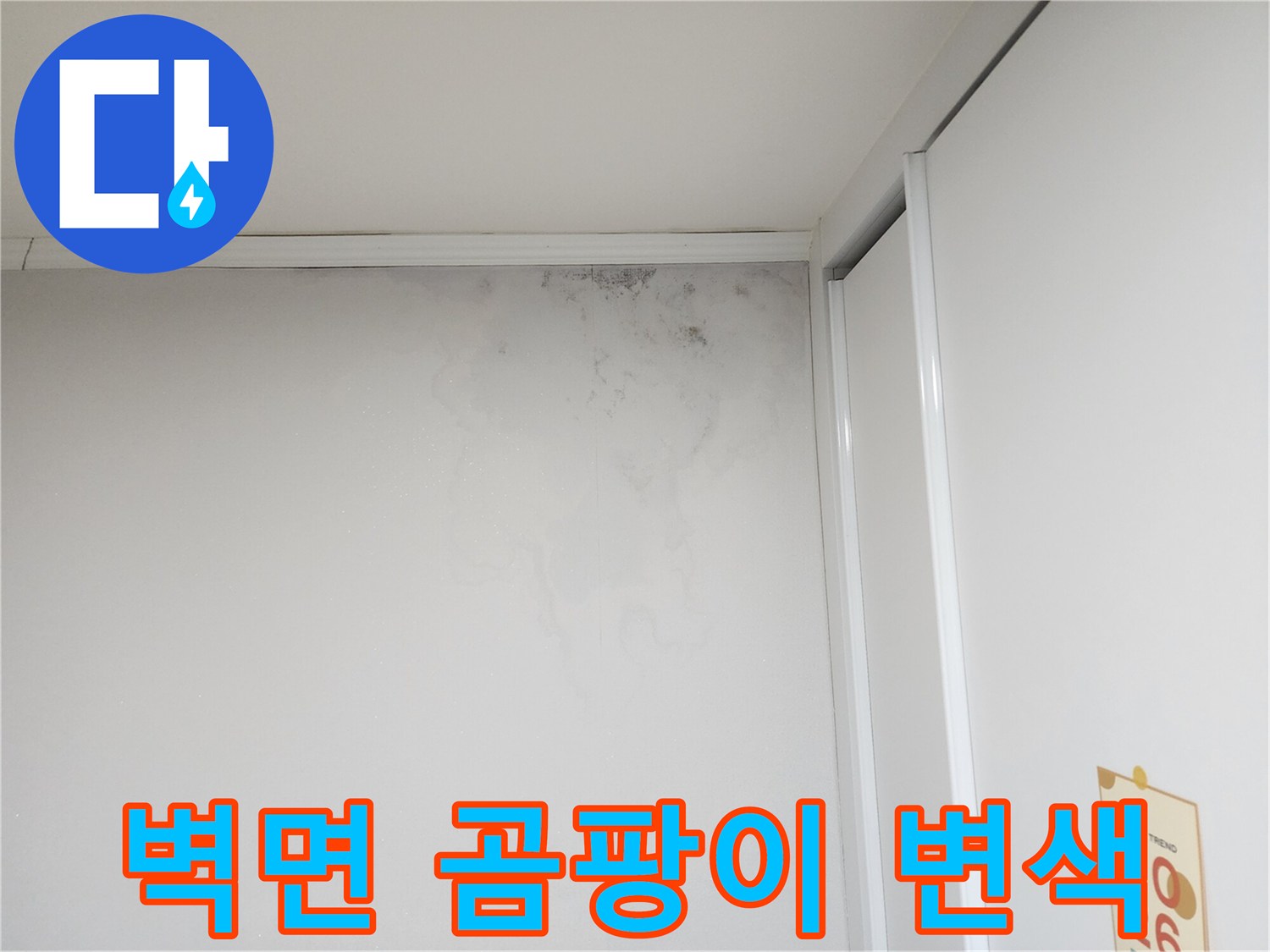 천장과 벽면 사이-심하게 번진 곰팡이와 물자국