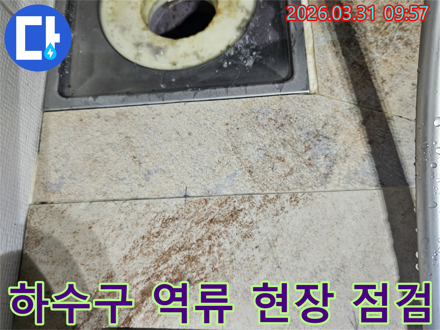 머리카락과 이물질로 가득 찬-욕실 하수구 트랩과-주변 타일의 심한 오염 상태를 보여줍니다.