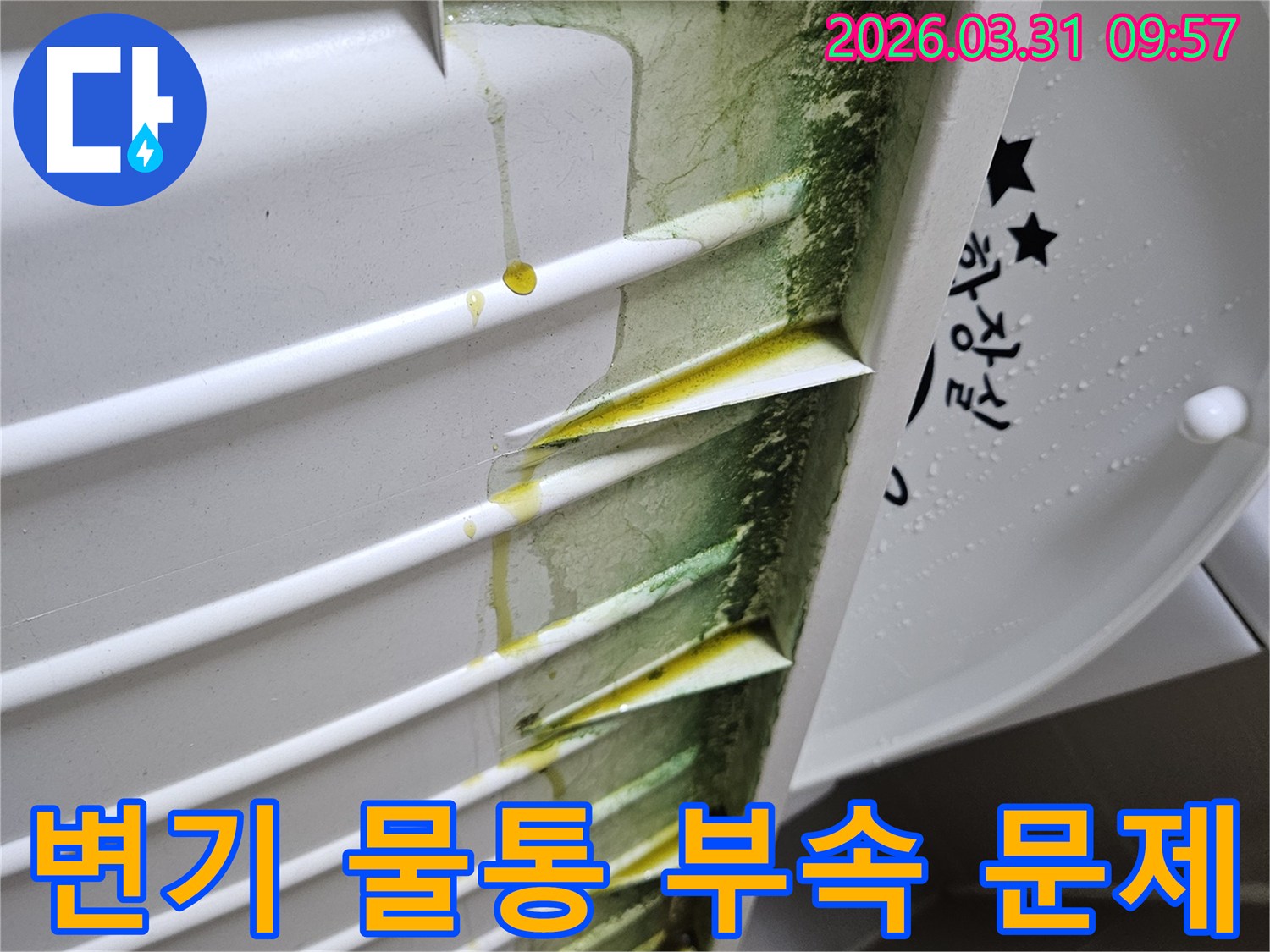 변기-물통-내부-벽면에-초록색-녹조와-노란-침전물이-누수로-인해-생성된-모습입니다