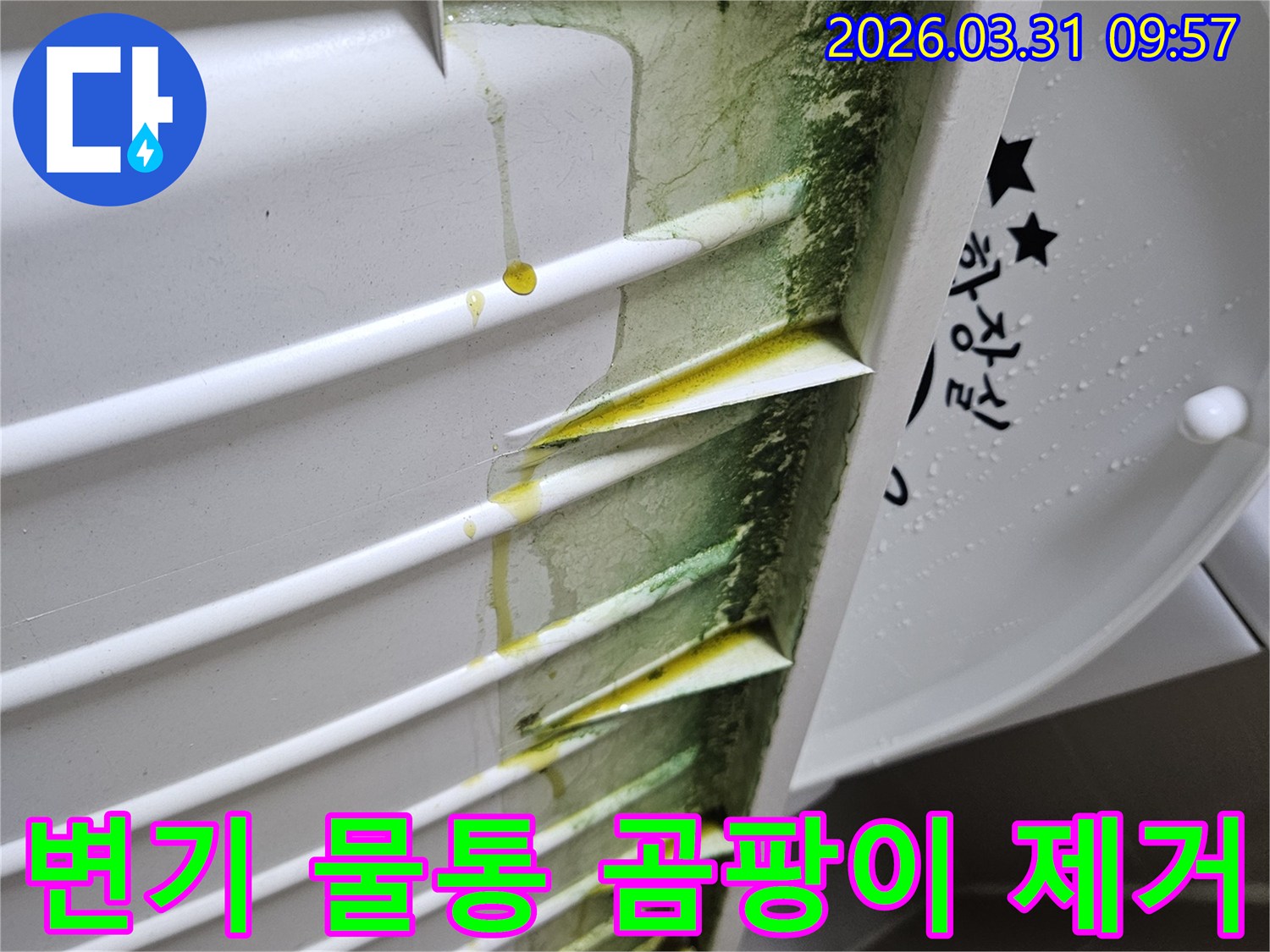 변기-물통-내부-표면에-발생한-초록색-곰팡이와-노란-오염물이-누수의-흔적을-보여줍니다
