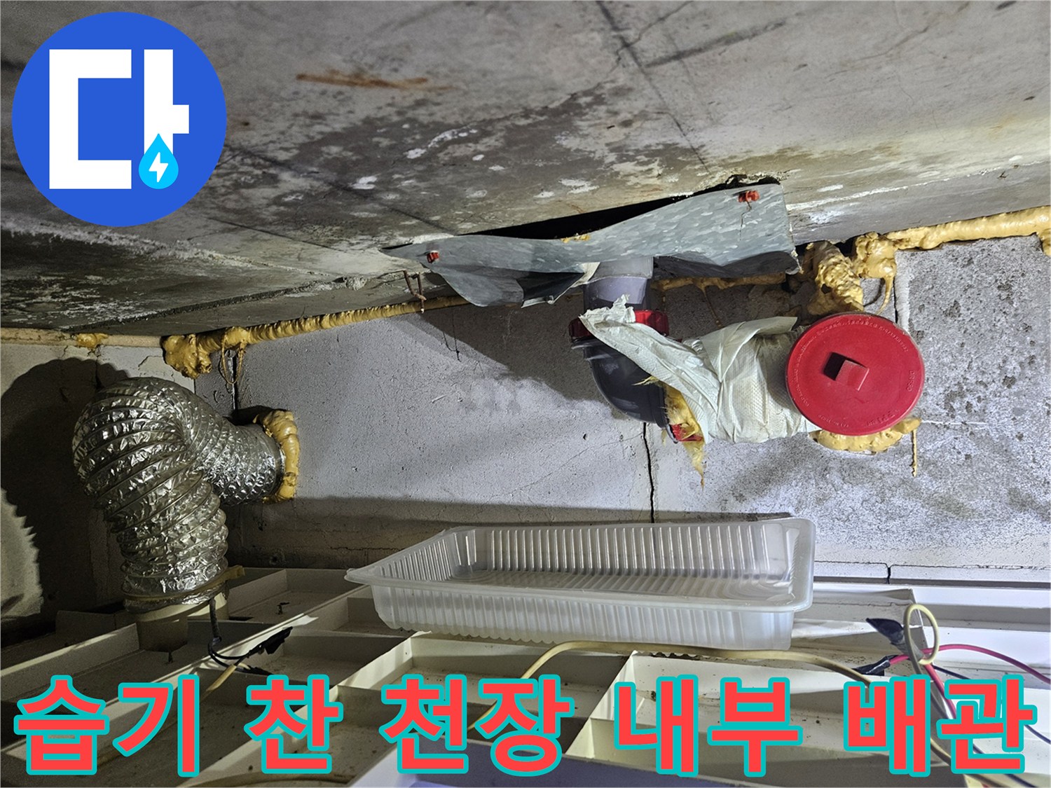 화장실 천장-배관 주변의 젖은 흔적과 습기 상태