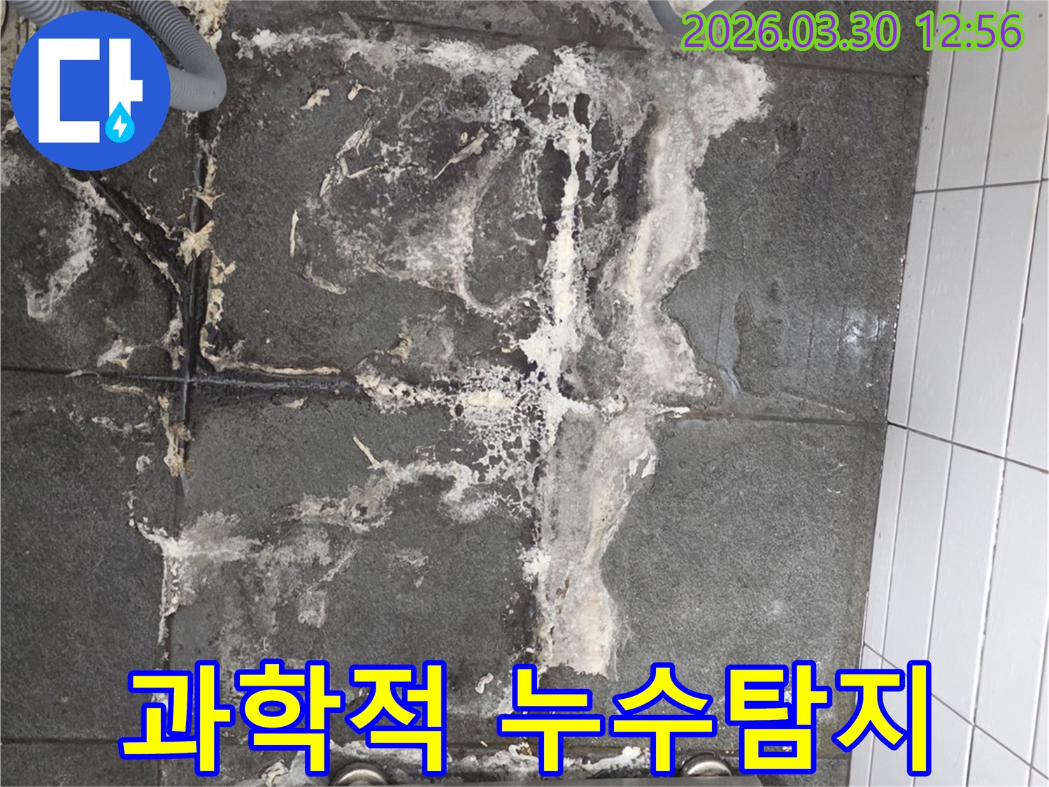 바닥 타일의 백화현상과-젖은 흔적은-정밀한 누수탐지 장비를 사용하여-숨겨진 누수 지점을 찾아야 함을 시사합니다.