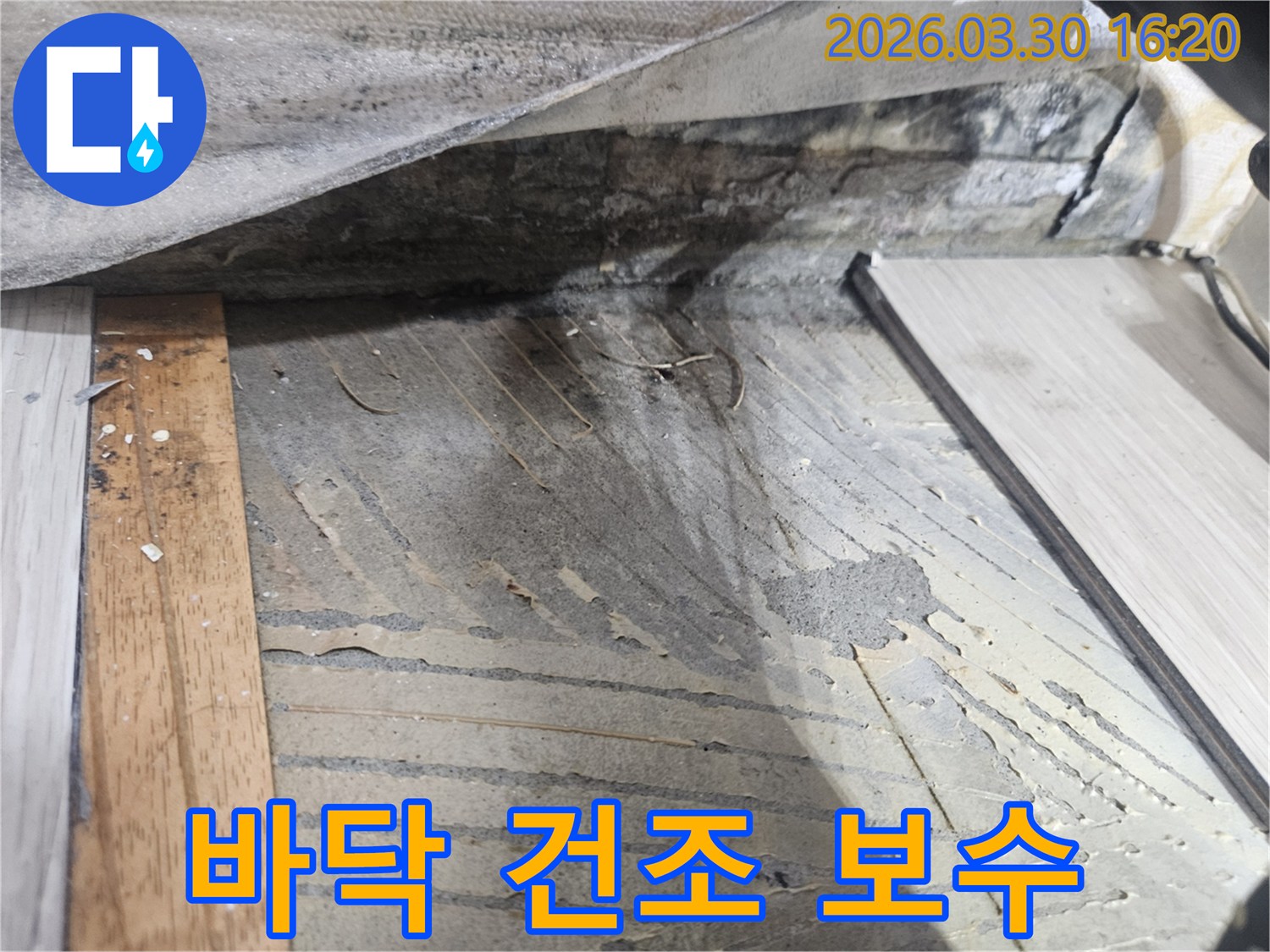 누수-탐지-작업-중-상가-바닥-마감재를-제거하고-발견된-젖은-콘크리트-표면의-상태를-점검하며-건조-및-보수-계획을-수립하는-모습