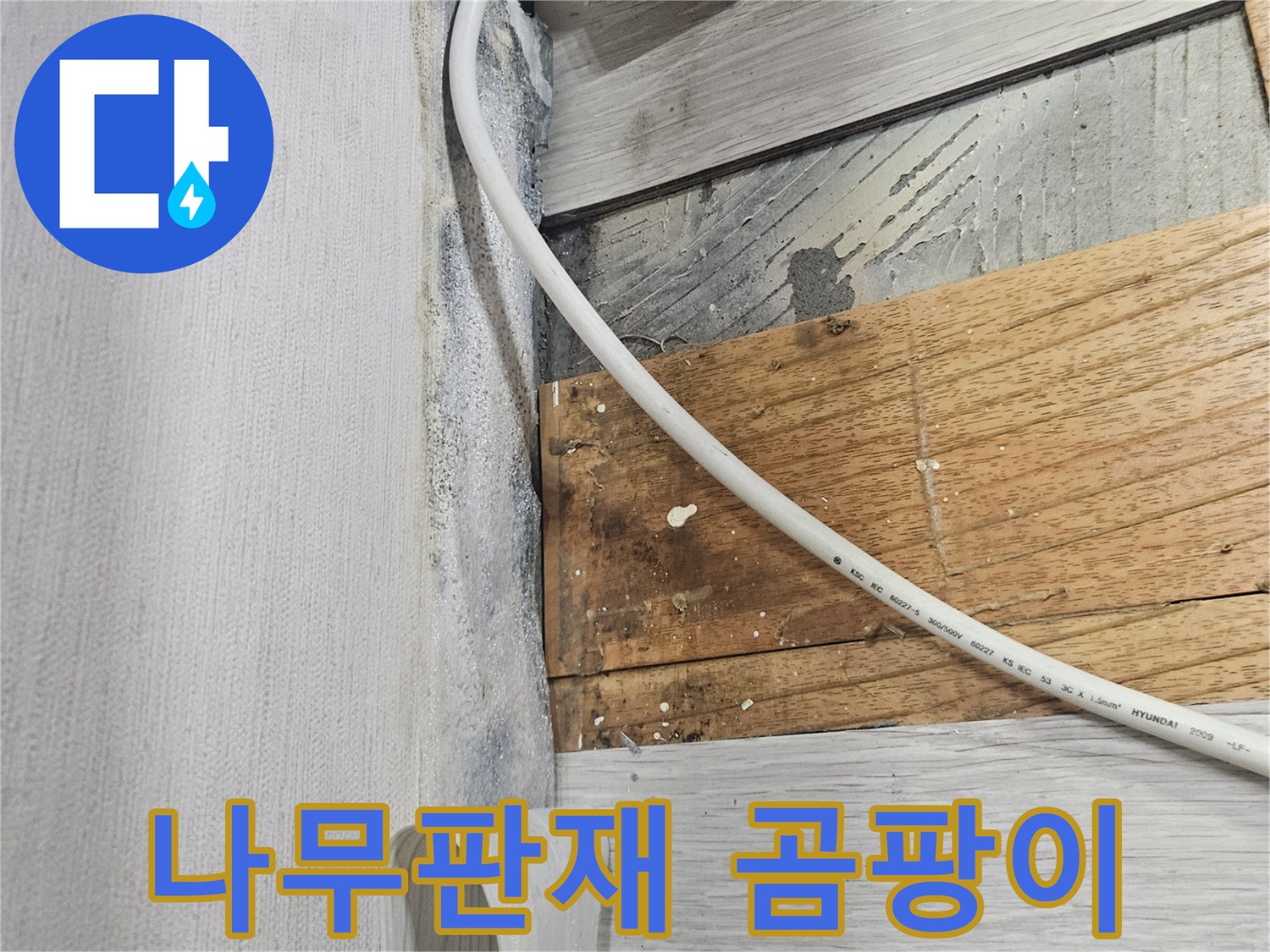 배관 주변 나무 판재의 곰팡이와 습기 현상