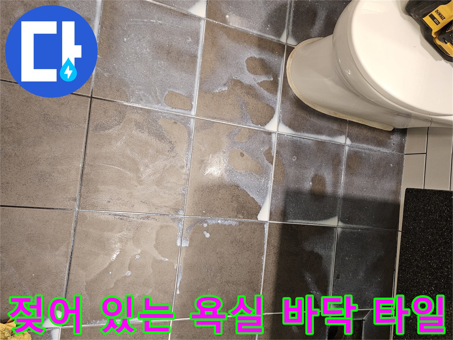 양천구 현장-타일 줄눈에 물기가 스며든 모습