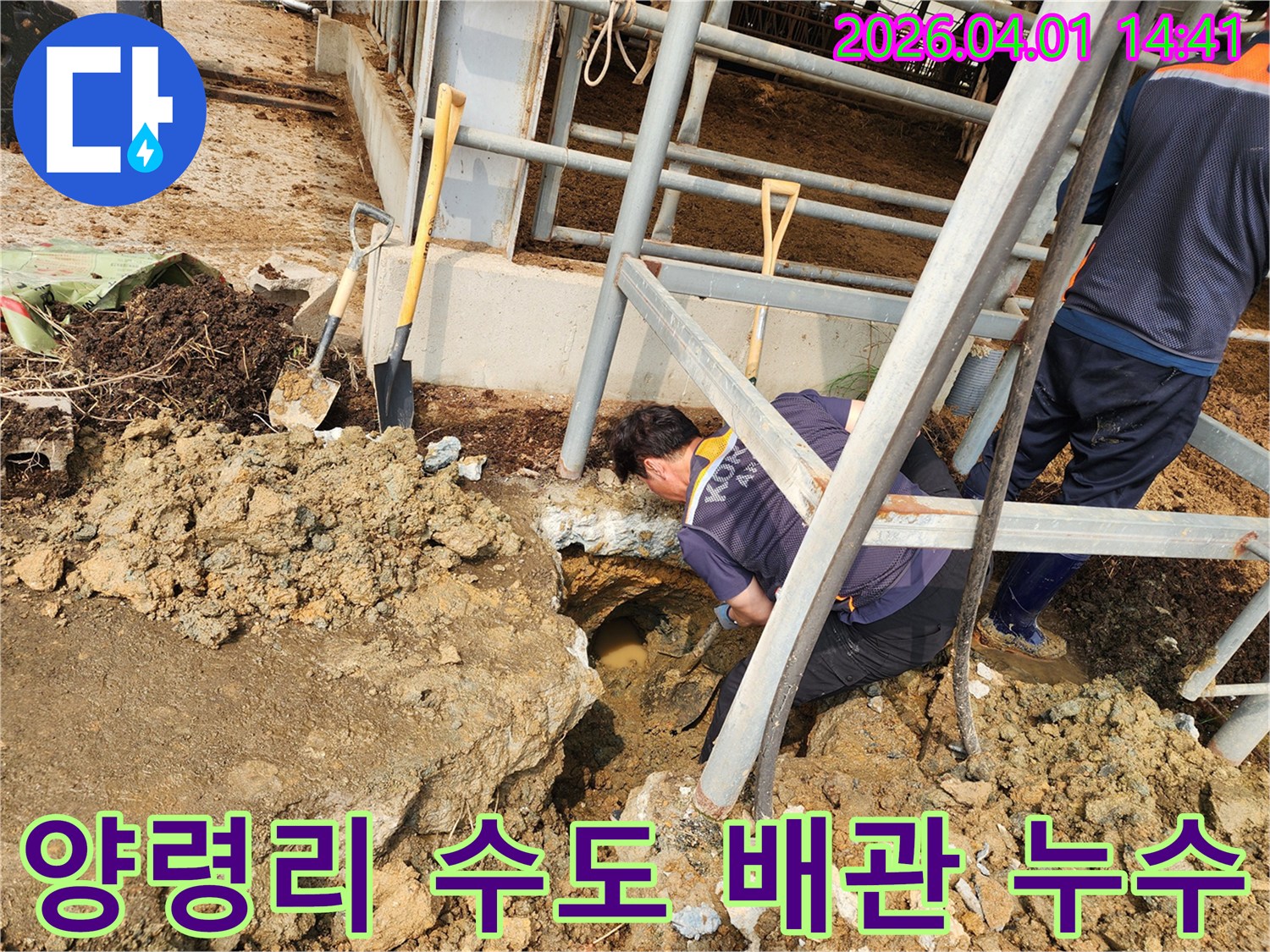 성환읍 양령리에서-수도 배관 누수 문제를-해결하기 위해-엔지니어가 땅을 파고-누수 지점을 확인하는-긴급 복구 현장입니다.