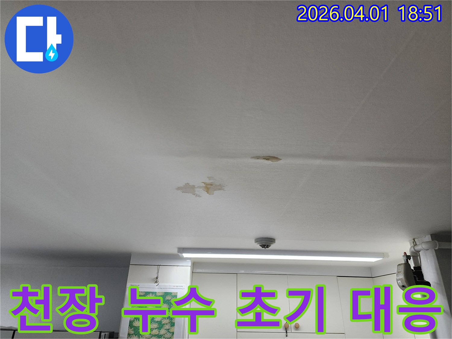 천장-누수-발견-초기-대응-중요성-신속한-전문가-진단-필요