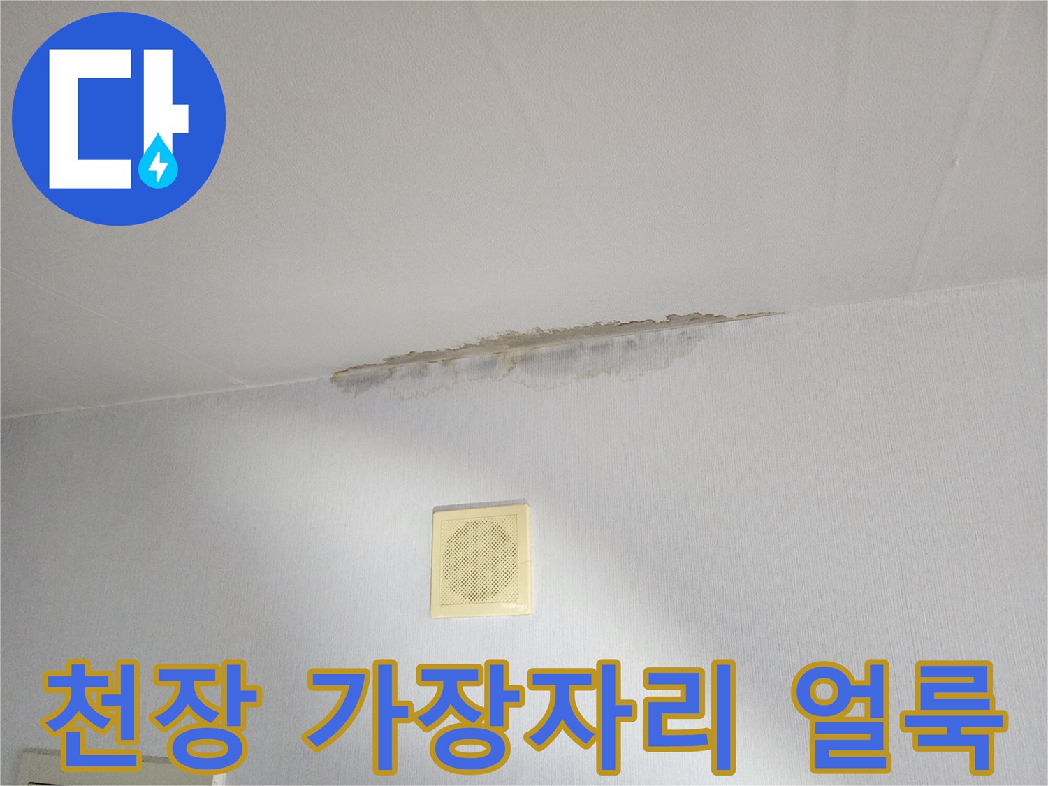천장과 벽 경계에 발생한 어두운 습기 자국