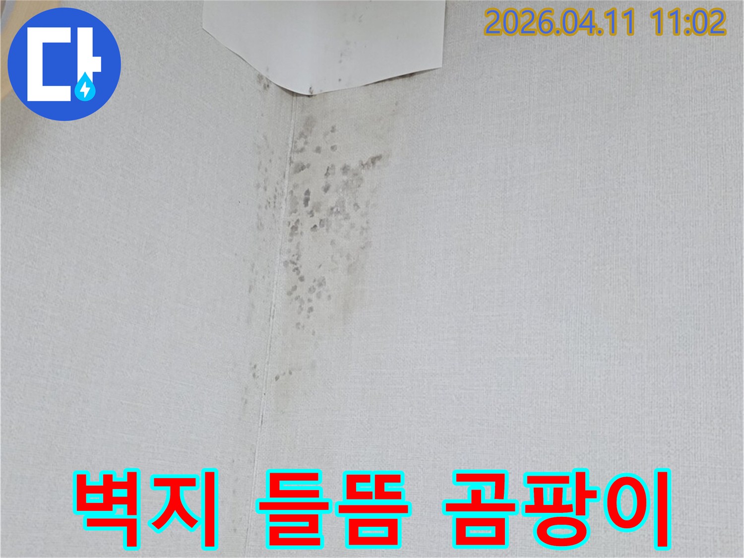 벽지가 들뜨고 곰팡이가 발생한 모습-누수로 인한 벽면 손상을 명확히 보여줍니다