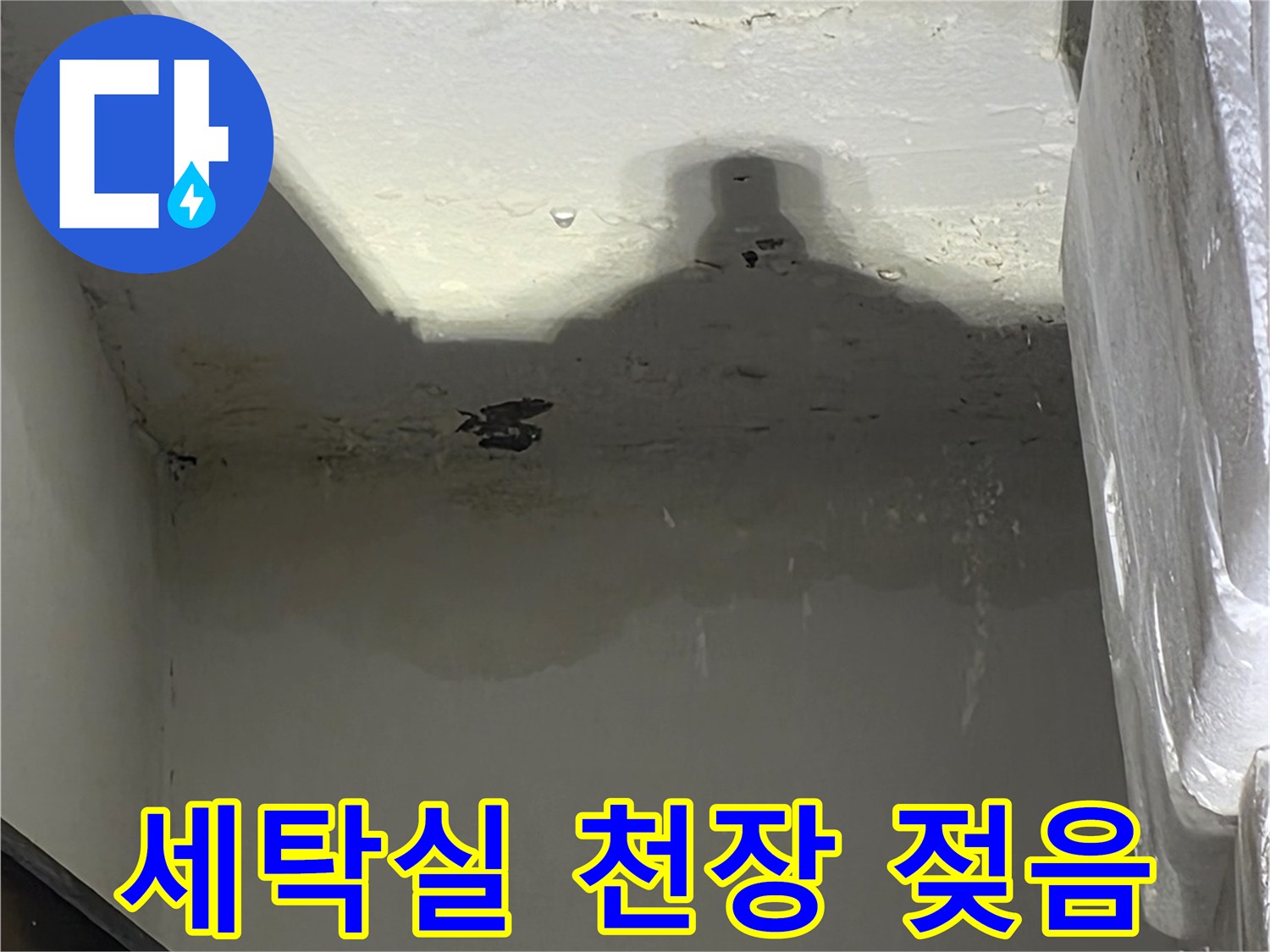 물샘으로 인해 얼룩진 세탁실 벽면의 근접 촬영 사진