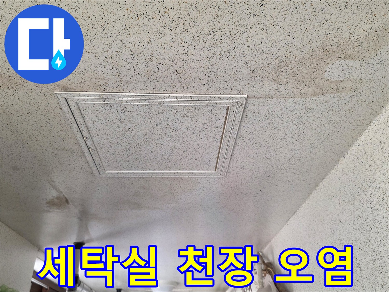 물샘 현상으로 인해 변색된 세탁실 천장 면 - 누수 점검 중