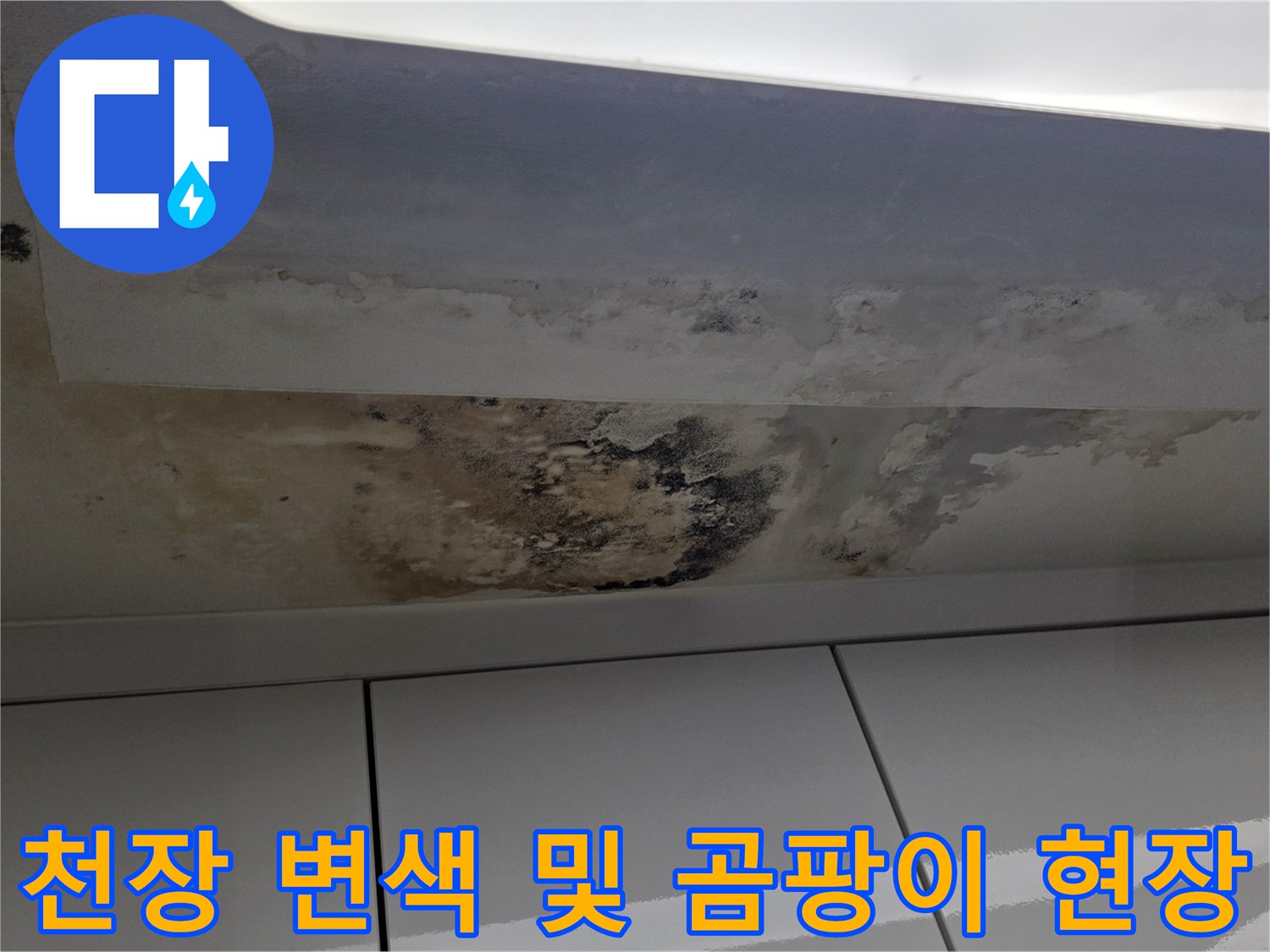 물샘으로 인해 변색된 천장-심각한 오염과 곰팡이가 확인되는 장면