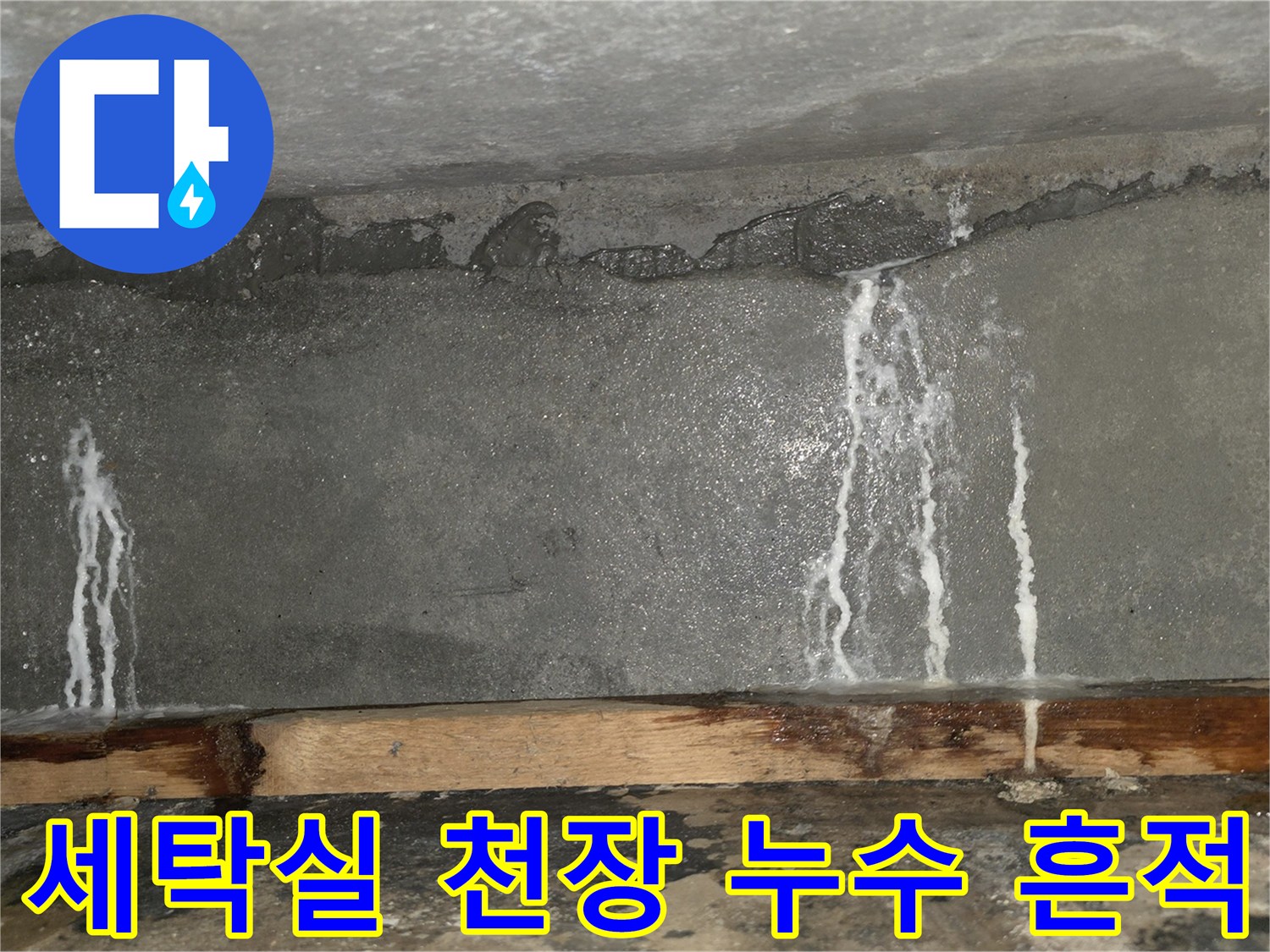 성남 중원구 세탁실-천장 벽면의 하얀 백태 현상