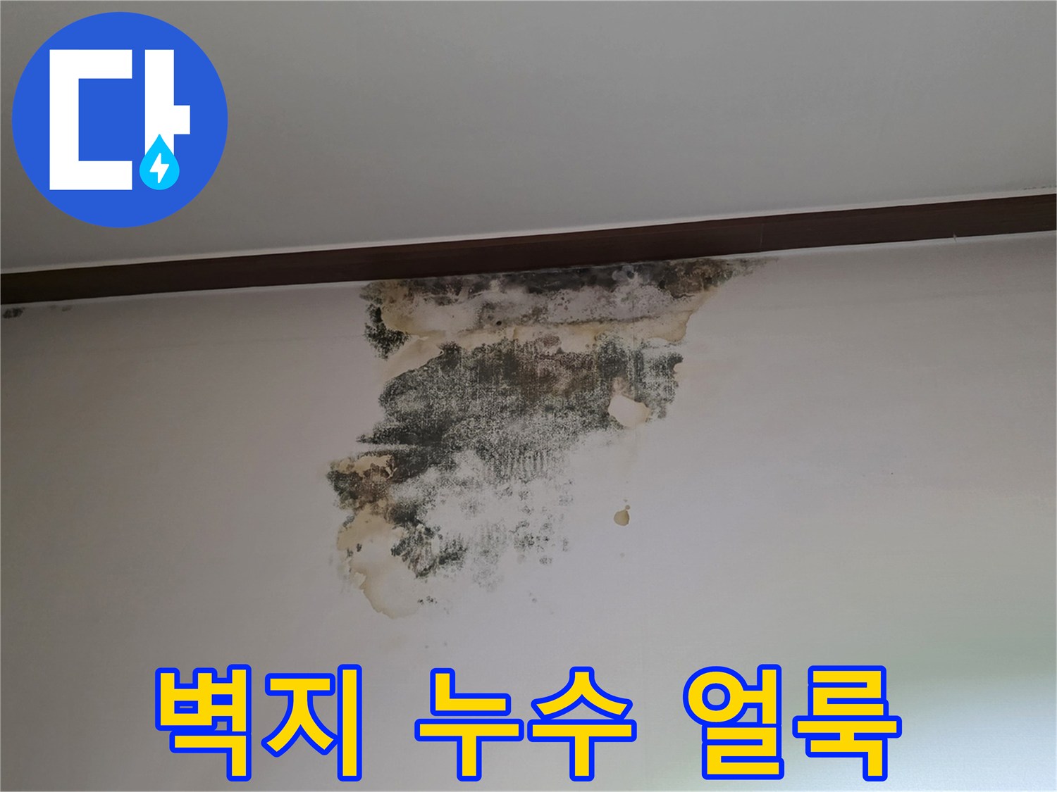 천장 몰딩 아래쪽으로 번져나간 누수 흔적과 벽지 변색