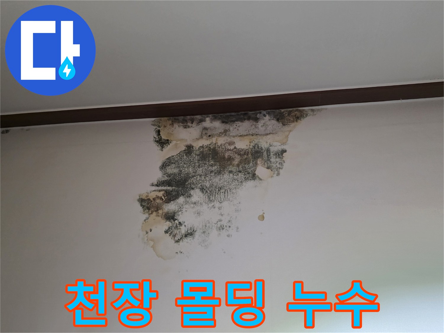천장 몰딩과 벽면 경계에 나타난 곰팡이와 물자국 현상