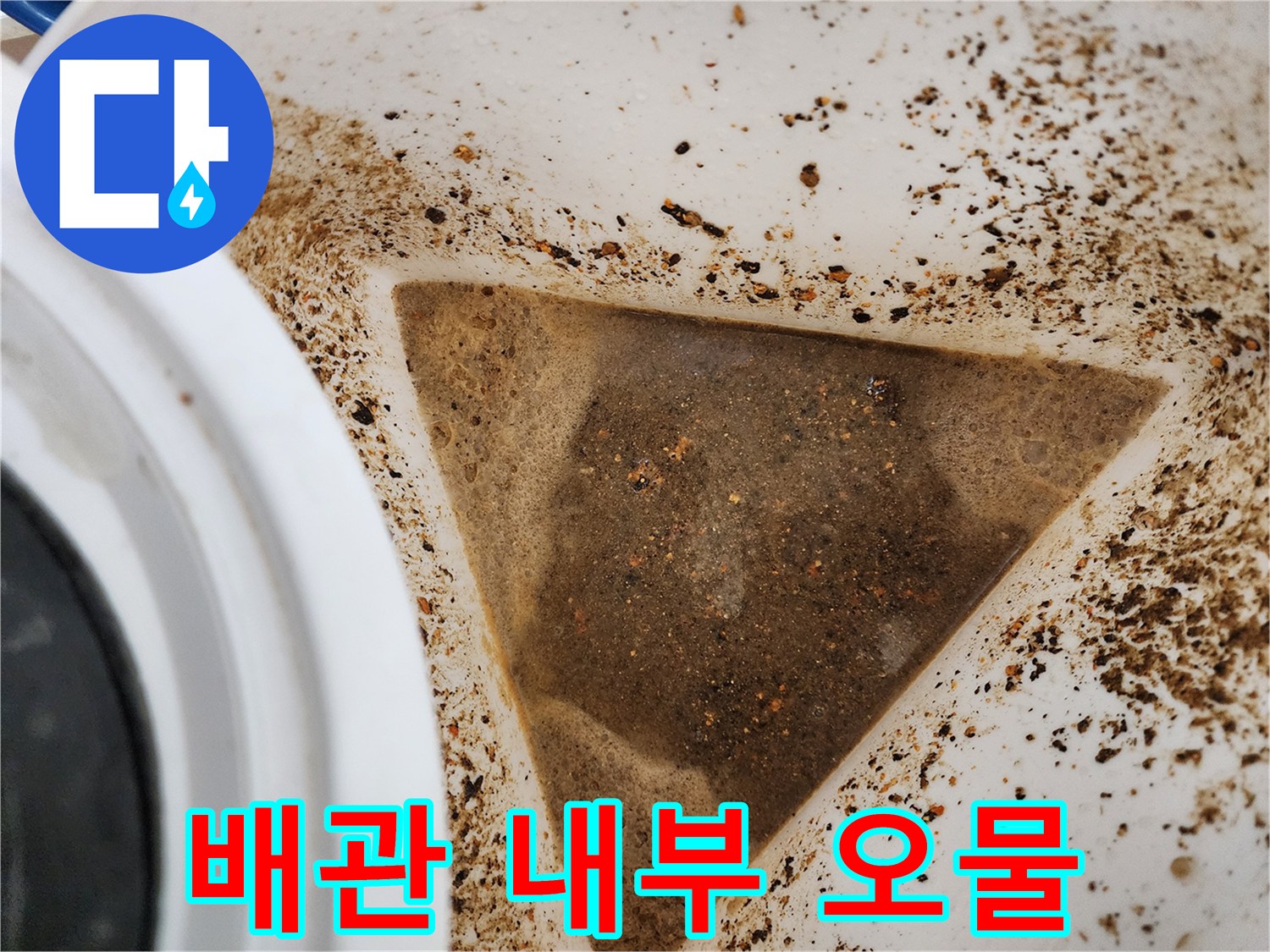 석션기로 추출한-싱크대 배관 내 기름 슬러지 덩어리