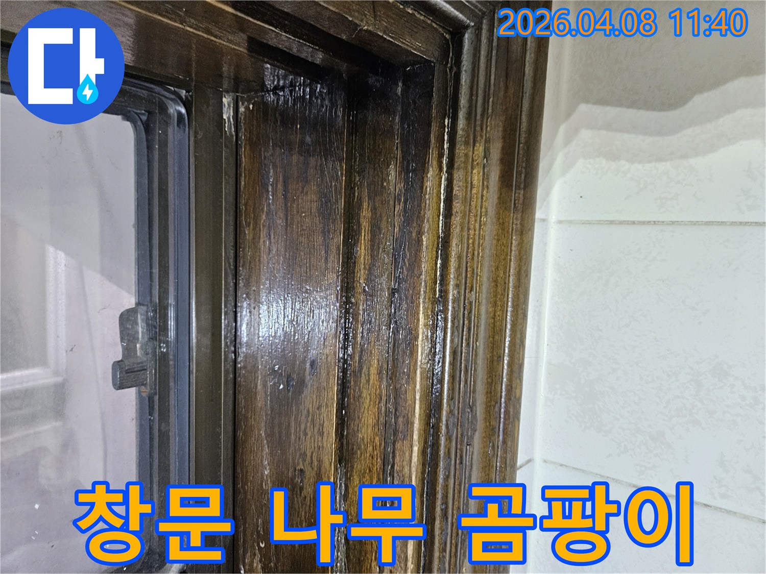 오래된-창문-목재-프레임에-발견된-누수-흔적과-검은-곰팡이-사진