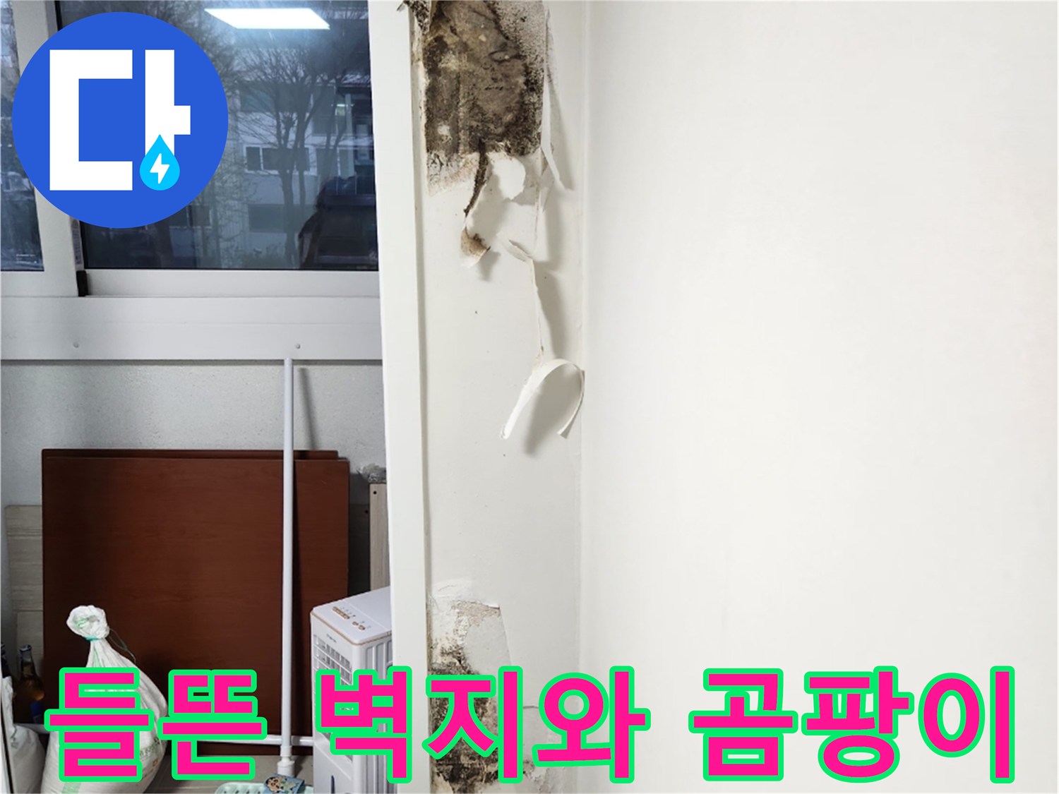 습기로 인해 들뜨고 검게 변한 벽지 마감 부위