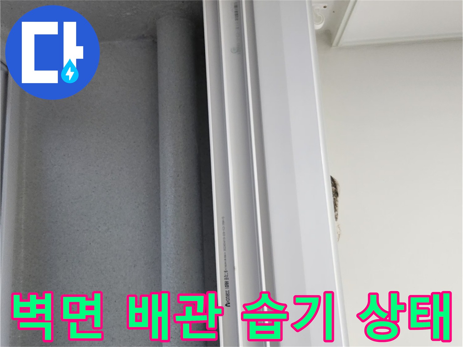 우수관-배관-주변-습기-침투-확인