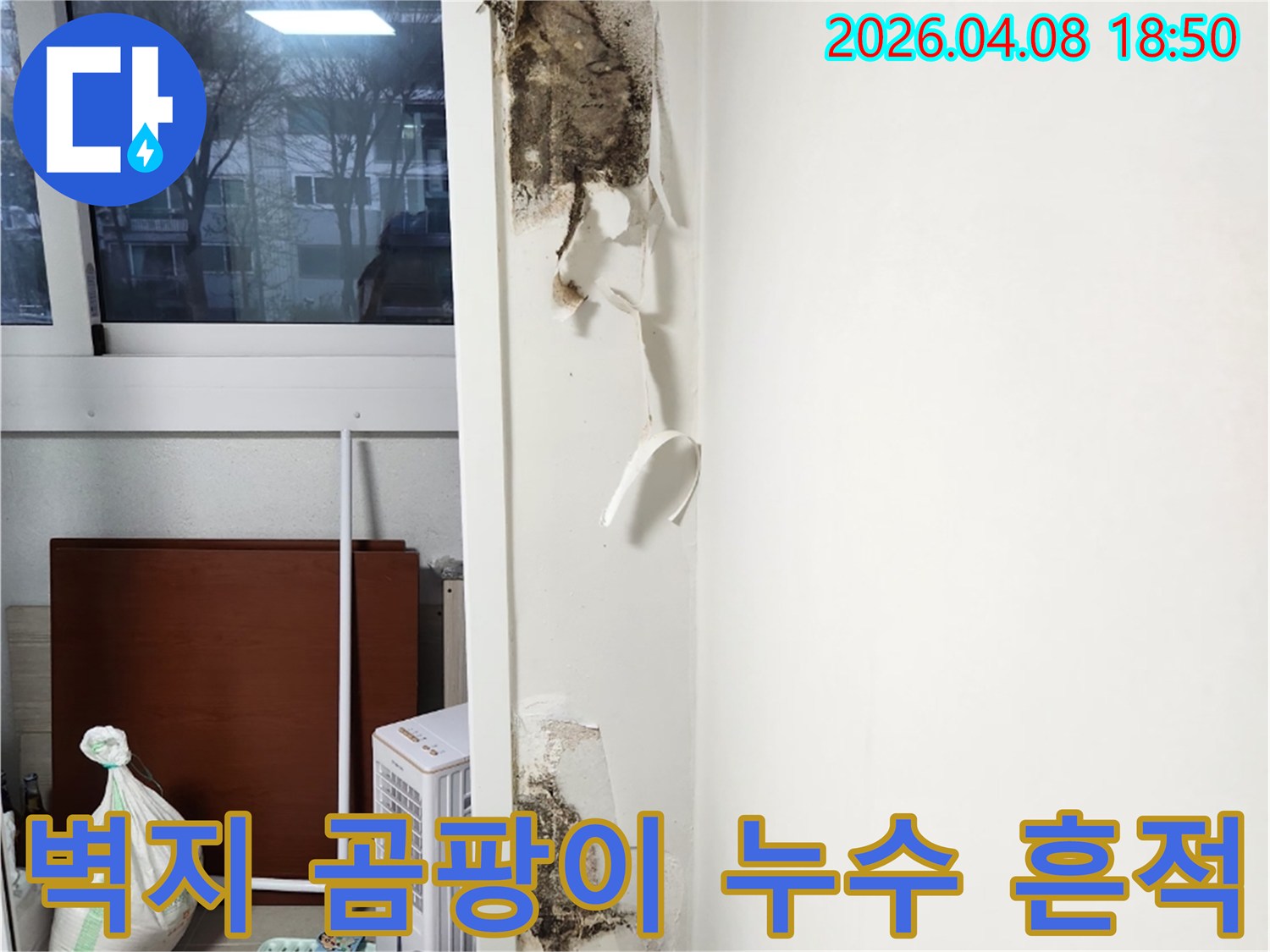 창문-주변-벽지에-발생한-심각한-누수-피해와-곰팡이-오염-상태를-보여주는-사진입니다