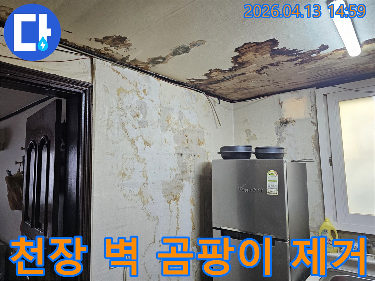 누수로 인해-천장과 벽에 생긴-심각한 곰팡이를-제거하고 방수하는-전문 시공 현장