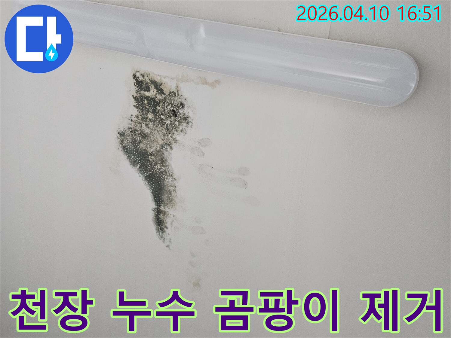 천장에 생긴 누수 자국과 곰팡이를 보여주는 사진-전문적인 누수탐지와 보수가 필요한 상황입니다