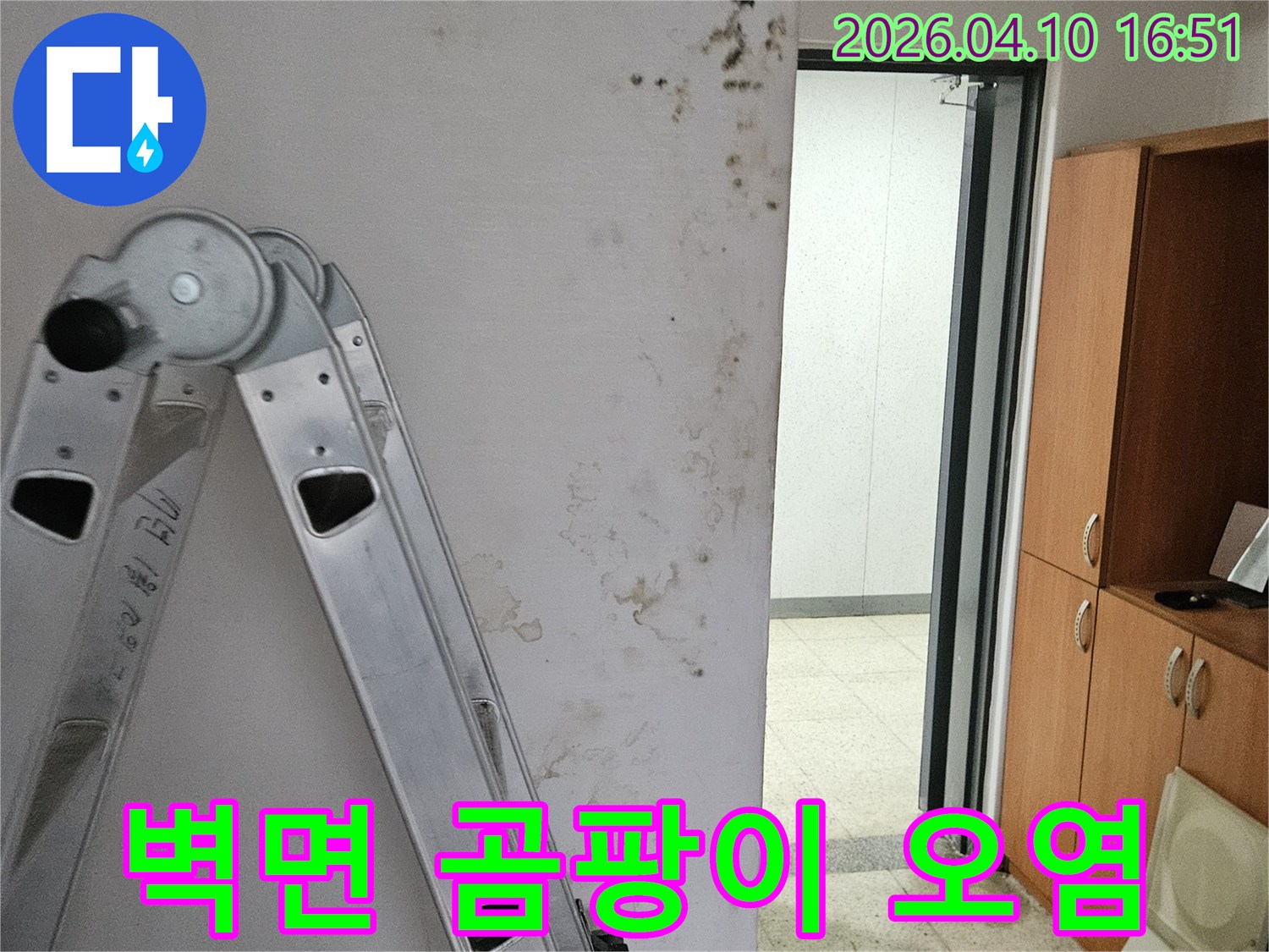 포천시 일동면의 한 실내 벽면에서 발견된 심각한 누수 흔적과 곰팡이입니다-정확한 원인 파악을 위해 사다리를 이용한 현장 조사가 진행 중입니다.