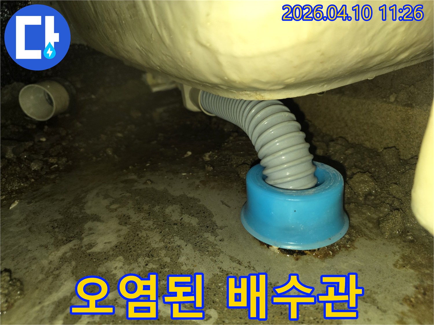 세탁실 하수구 주변에-물이 새어 나와-바닥이 오염된-누수 현장