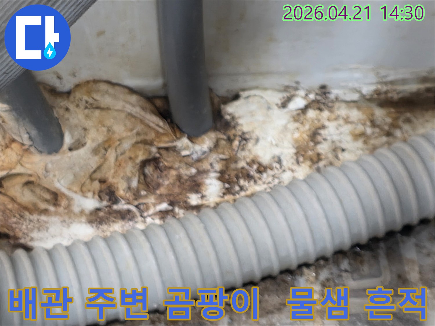 오래된-배관-주변에-발생한-심각한-곰팡이와-물샘-흔적을-보여주는-현장-사진
