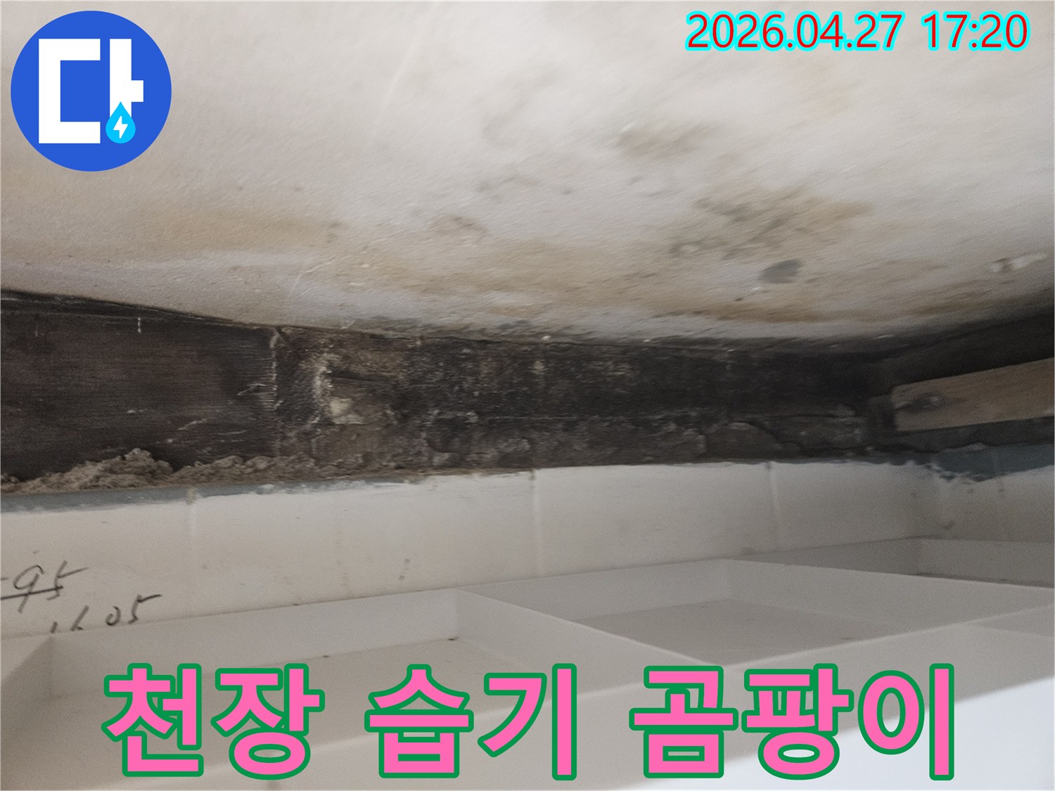 누수로 인해-욕실 천장-벽면에-발생한-습기와-곰팡이를-제거하고-건강한-환경을-조성하기-위한-현장-사진