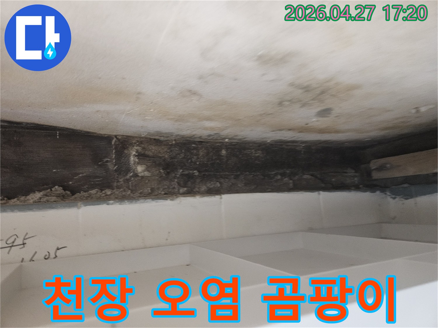 누수로 인해-욕실 천장과 벽면이-심하게 오염되고-목재 구조물에-곰팡이가 발생한-상태를-보여주는-사진