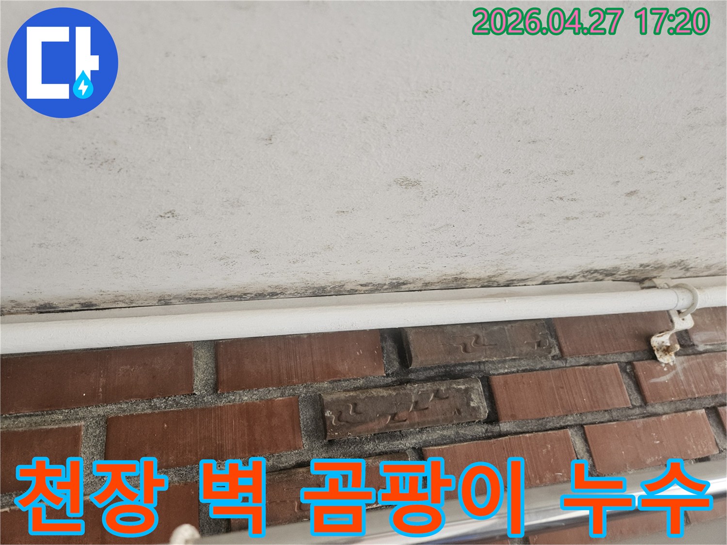 벽돌 벽과 천장 사이의 경계에 생긴-검은 곰팡이와 물 얼룩이 보이는 사진입니다.