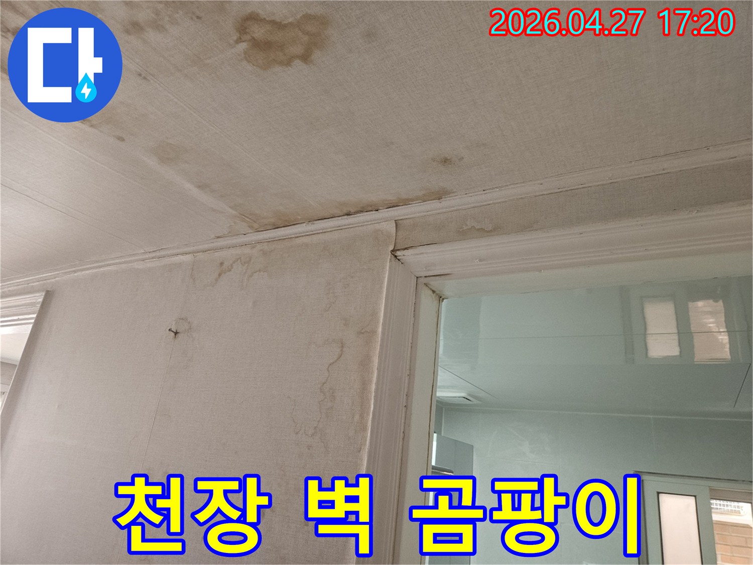 이 이미지는-천장과-벽지에-발생한-누수로-인해-생성된-곰팡이와-물얼룩을-선명하게-보여주며-이는-장기간-누수가-진행되었음을-나타냅니다