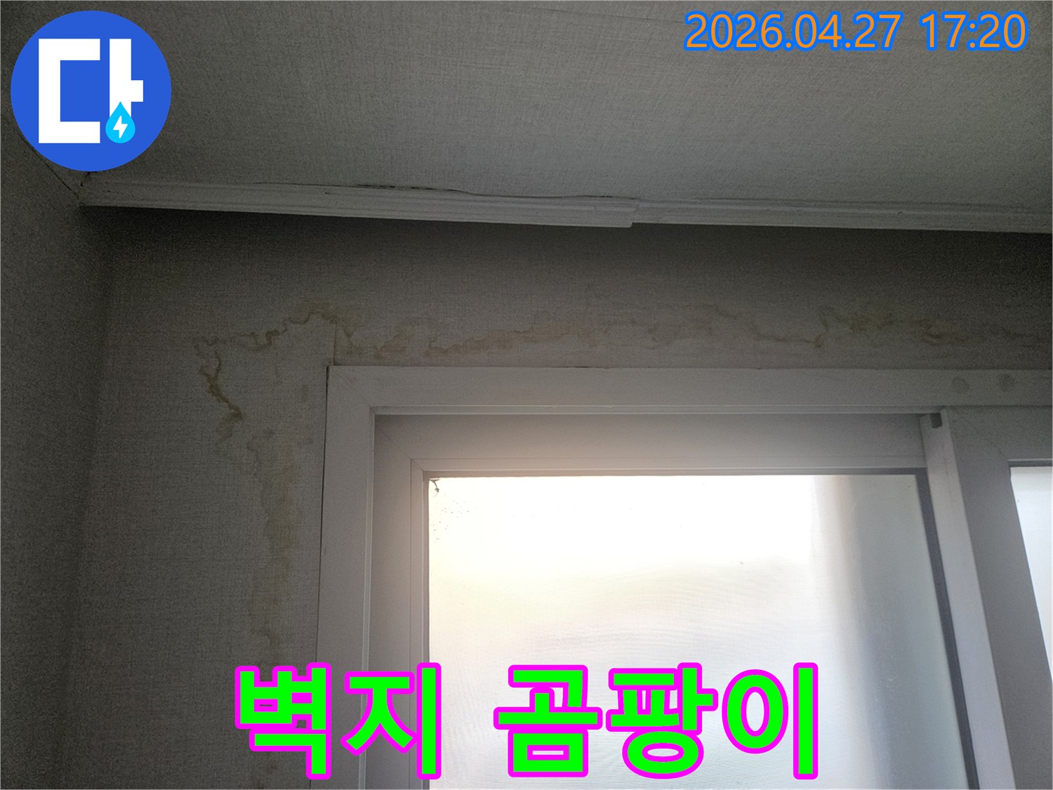 창문 테두리를 따라-벽지에 물이 스며들어-곰팡이가 발생하고-얼룩진 모습이 담긴-누수 현장 사진입니다.