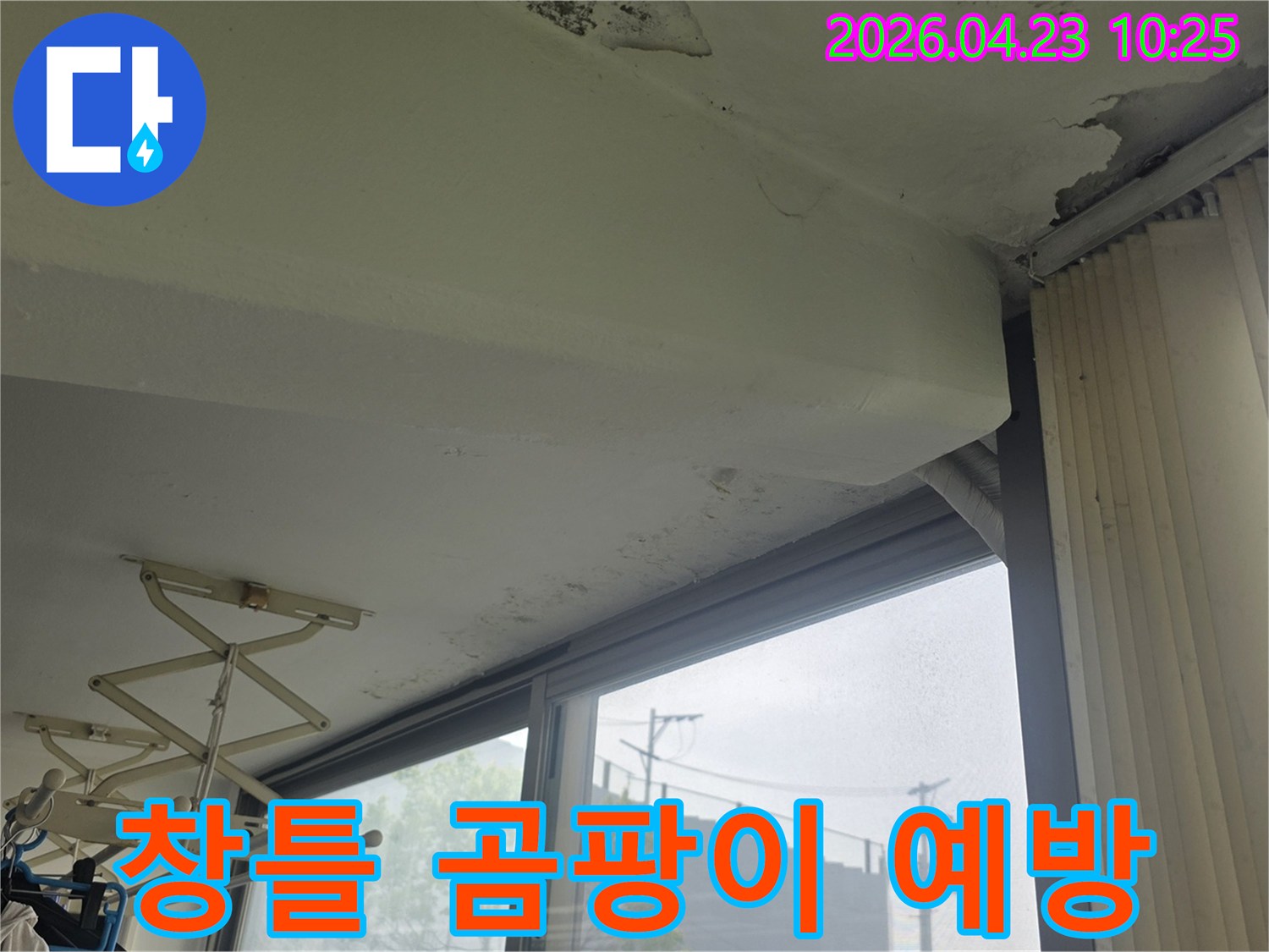 갈현동 아파트-창틀 주변 벽면에-발생한 누수로 인한-곰팡이와-벽지 손상-예방 및 관리가 필요한 현장