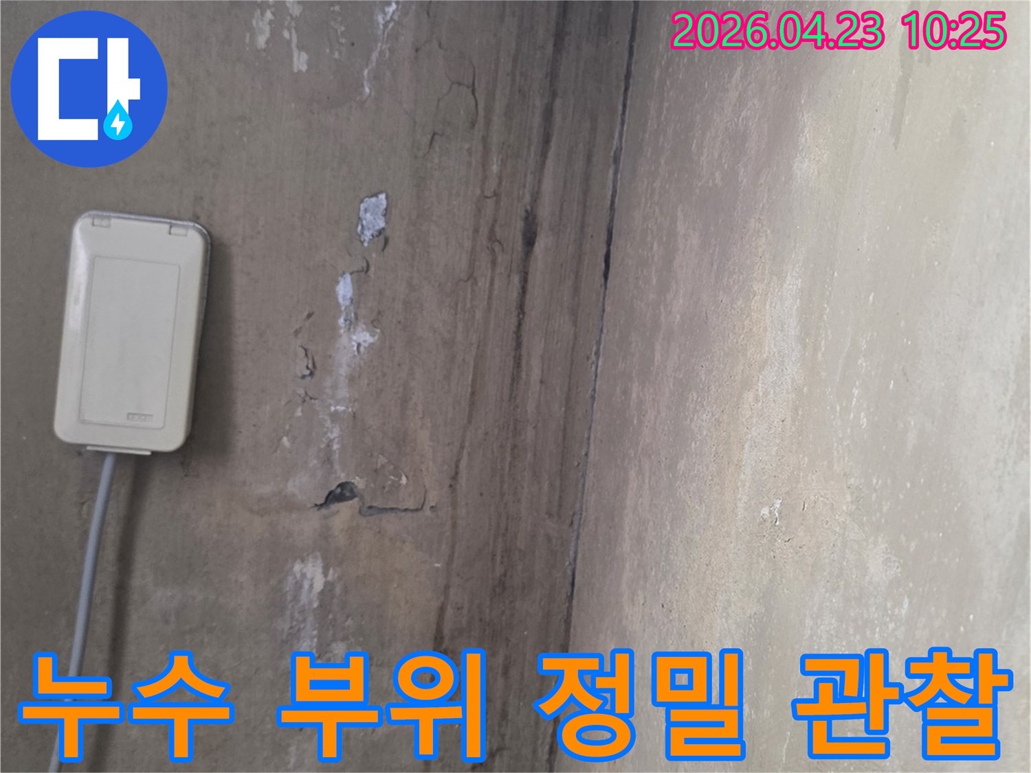 오래된-누수로-벽과-천장에-발생한-곰팡이-및-페인트-들뜸-현장
