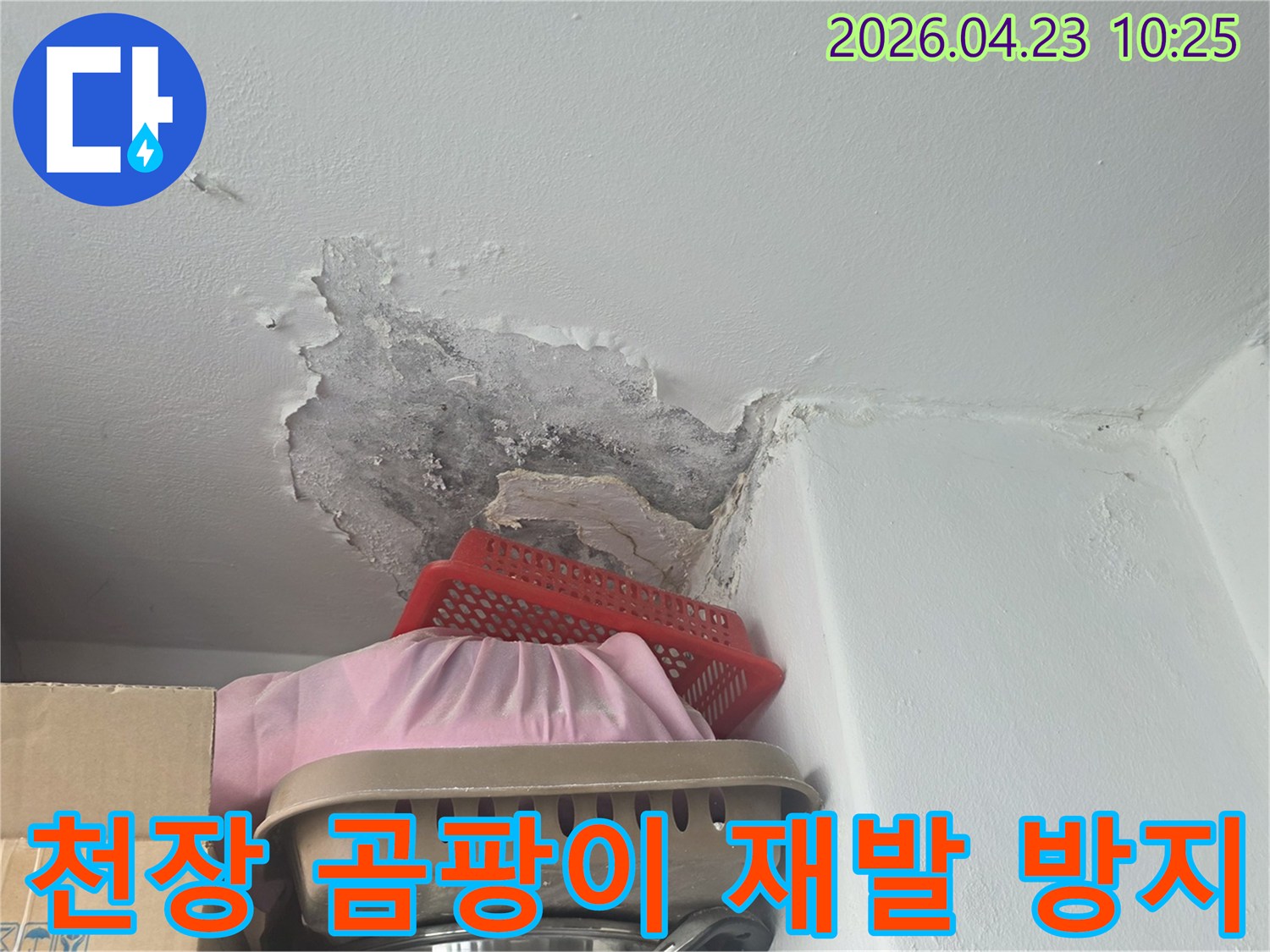 천장 모서리에 생긴-심한 곰팡이와-물에 젖은 벽지 상태-재발 방지 전