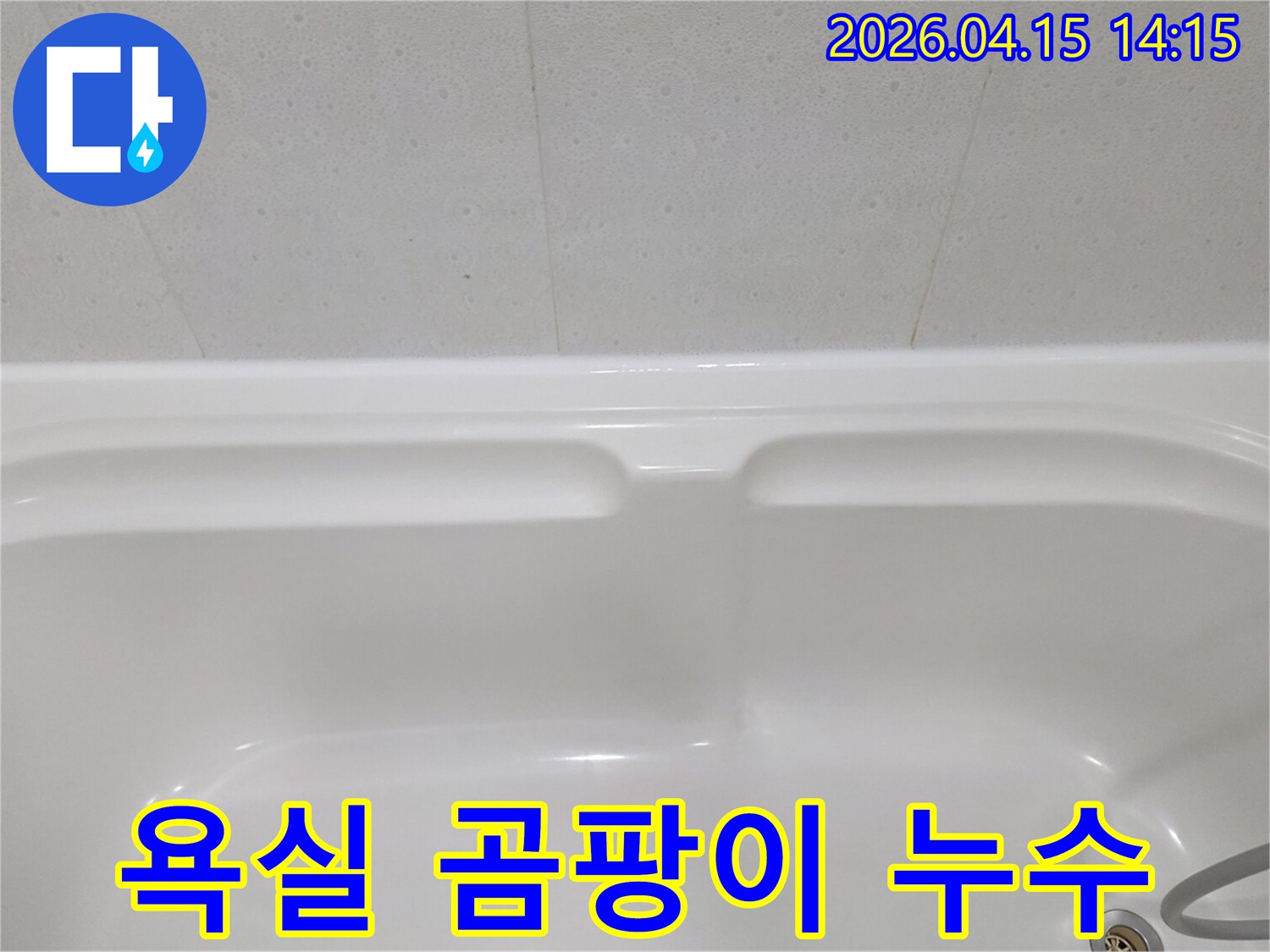 이-깨끗한-욕조-사진은-욕실-누수로-인해-발생할-수-있는-곰팡이-문제의-심각성을-경고하며-사전-점검의-중요성을-강조합니다