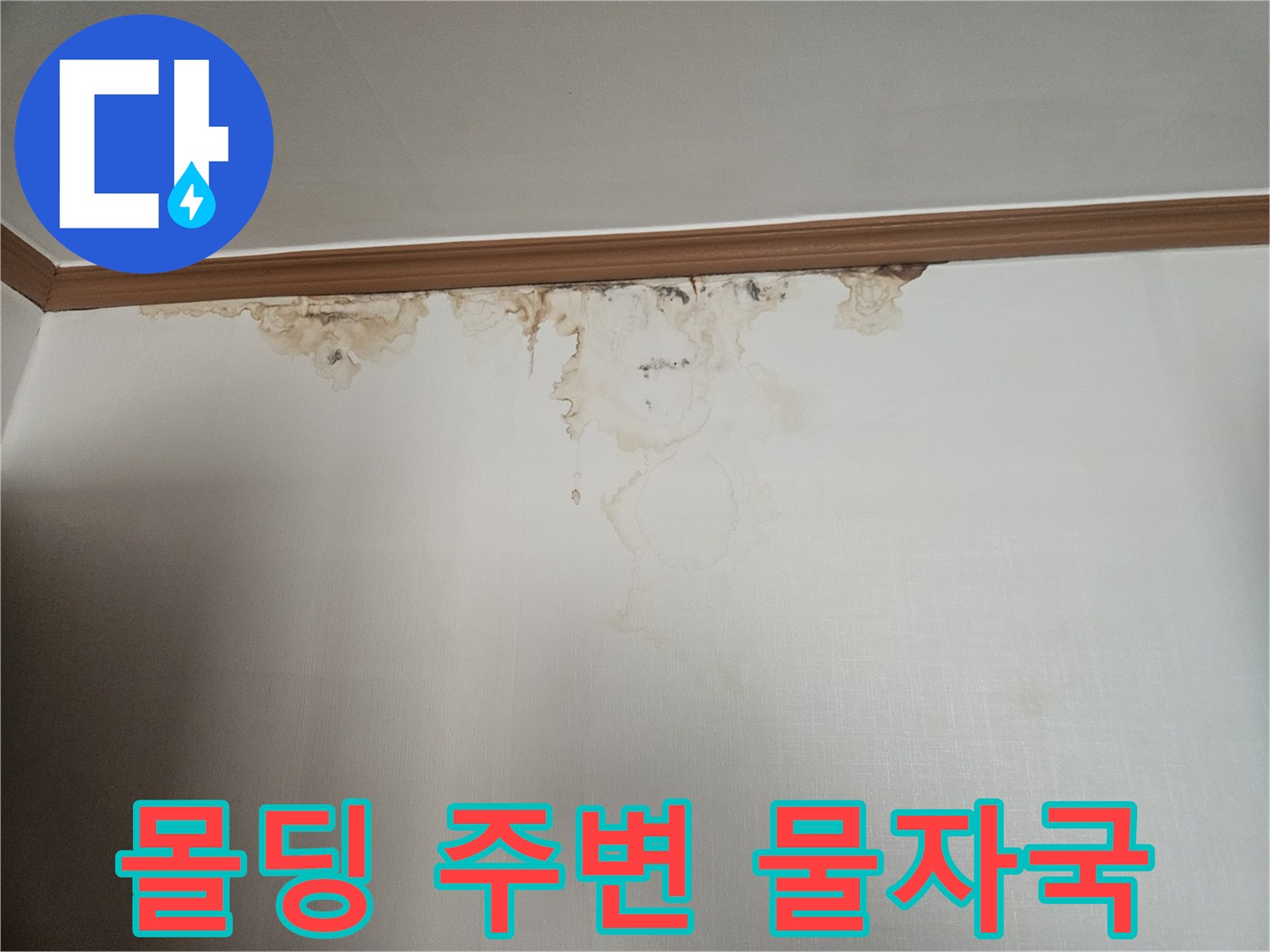 천장-가장자리-몰딩의-심한-오염과-습기흔적