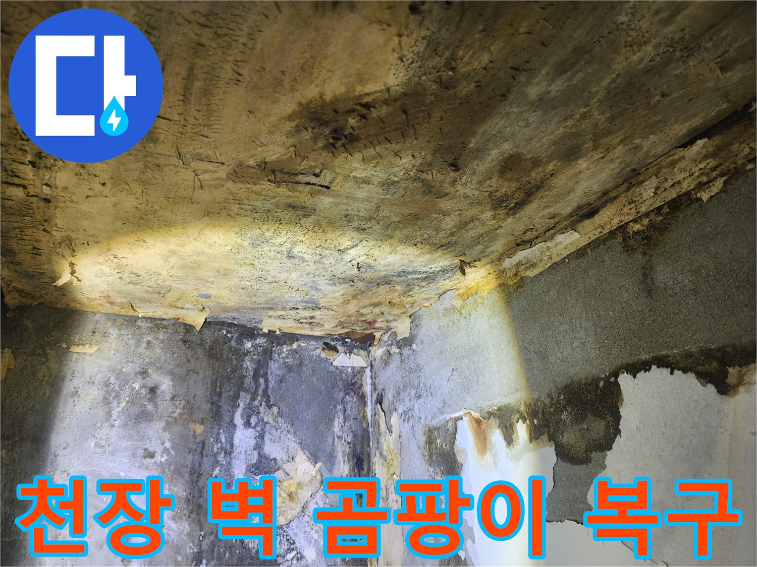 누수로 인해-천장과 벽에 광범위하게 번진-곰팡이와 벽지 손상 현장