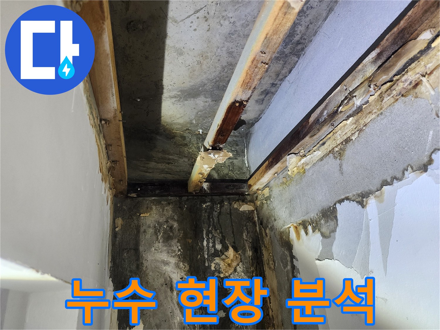 석고보드-제거-후-누수-엔지니어가-천장-내부의-누수-현장을-정밀하게-분석하는-과정