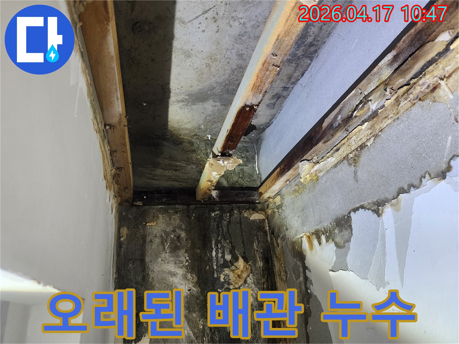 이 사진은-서울 서초구 잠원동에서 발생한-오래된 배관 누수로 인한-천장과 벽면의 심각한 손상-그리고 목재 부식을 보여줍니다