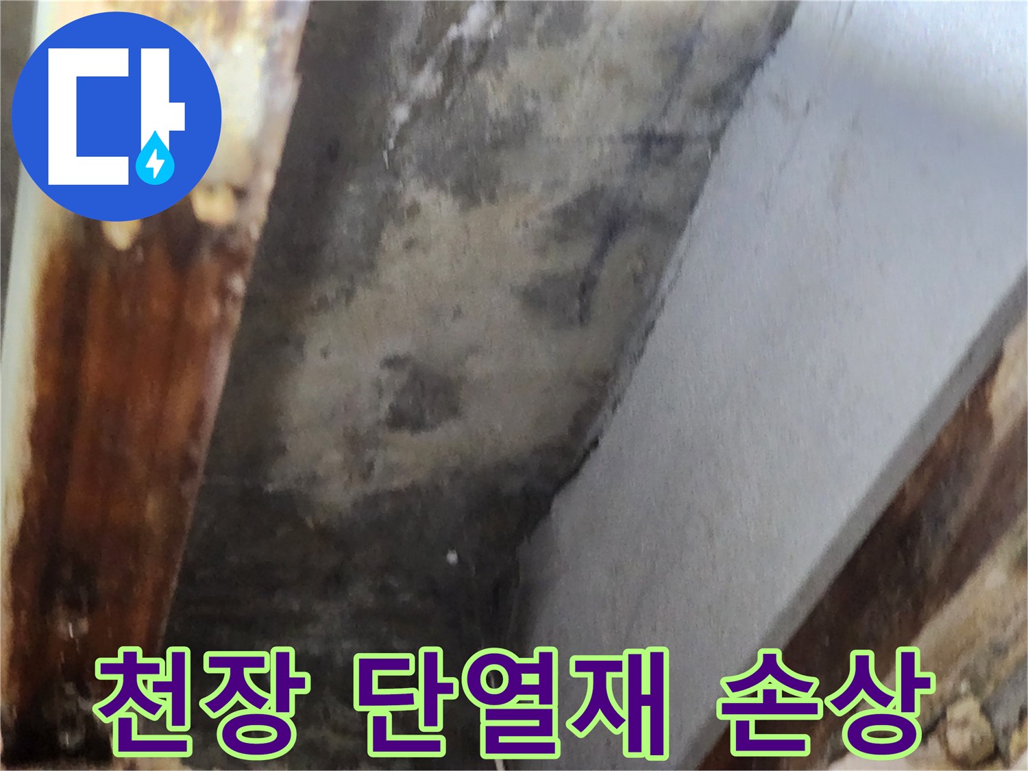 천장 내부 단열재에 누수로 인한 물자국과-곰팡이로 인한 손상 현장을 보여주는 이미지입니다