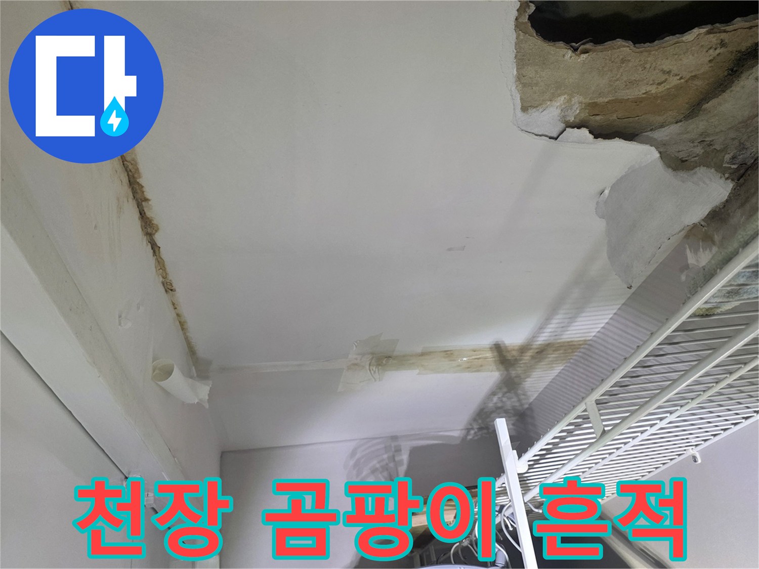 손상된 천장 석고보드-물샘으로 인한 곰팡이와 얼룩