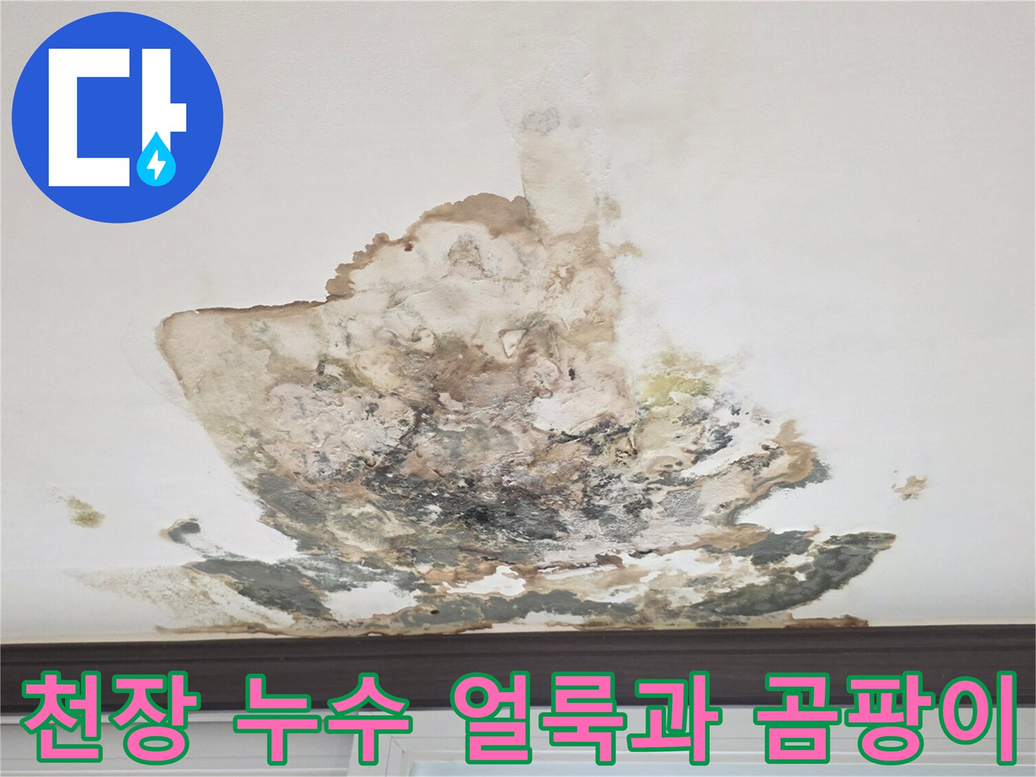 아래층 벽장 천장에 발생한 심각한 물샘 흔적과 곰팡이 상태