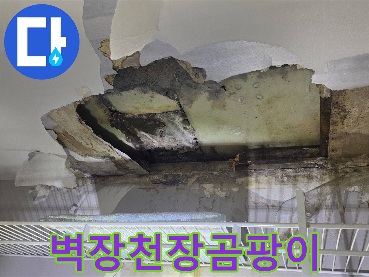 아파트 벽장 내부-심하게 젖은 석고보드와 곰팡이 흔적